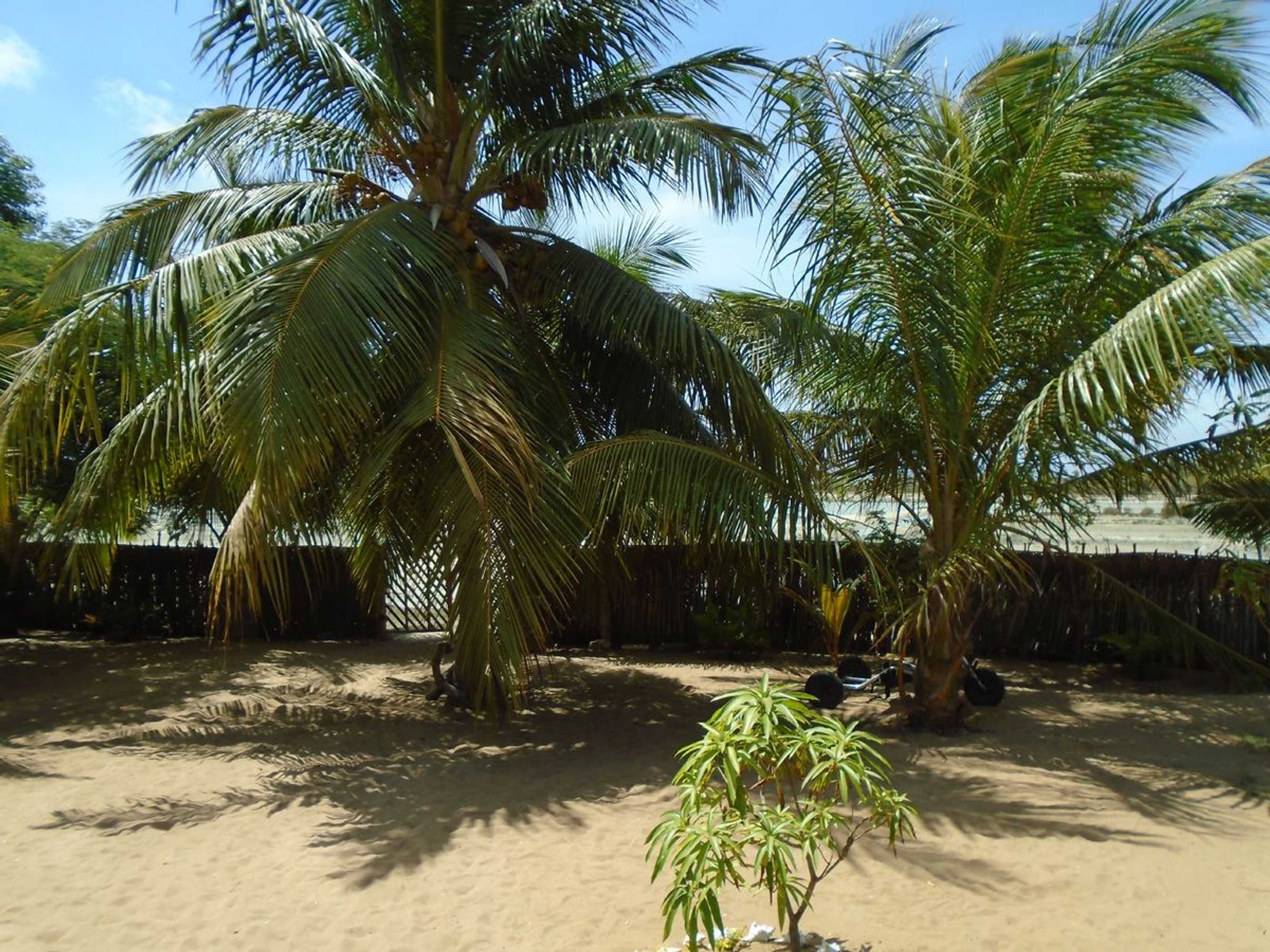 Gift card for Kite Bay Resort Kalpitiya Gift card for Kite Bay Resort Kalpitiya