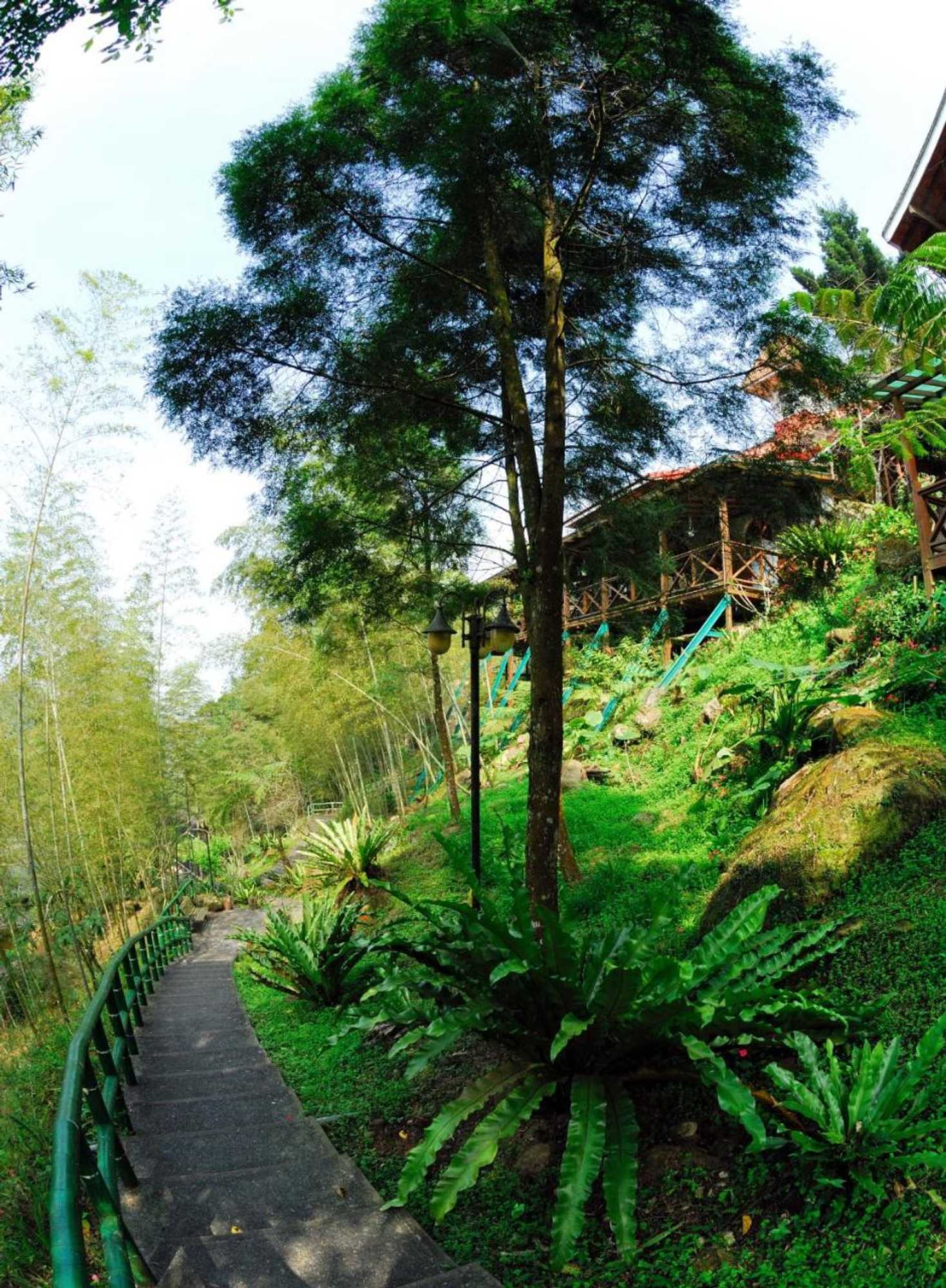 Gift card for Shinmingshan Holiday Inn