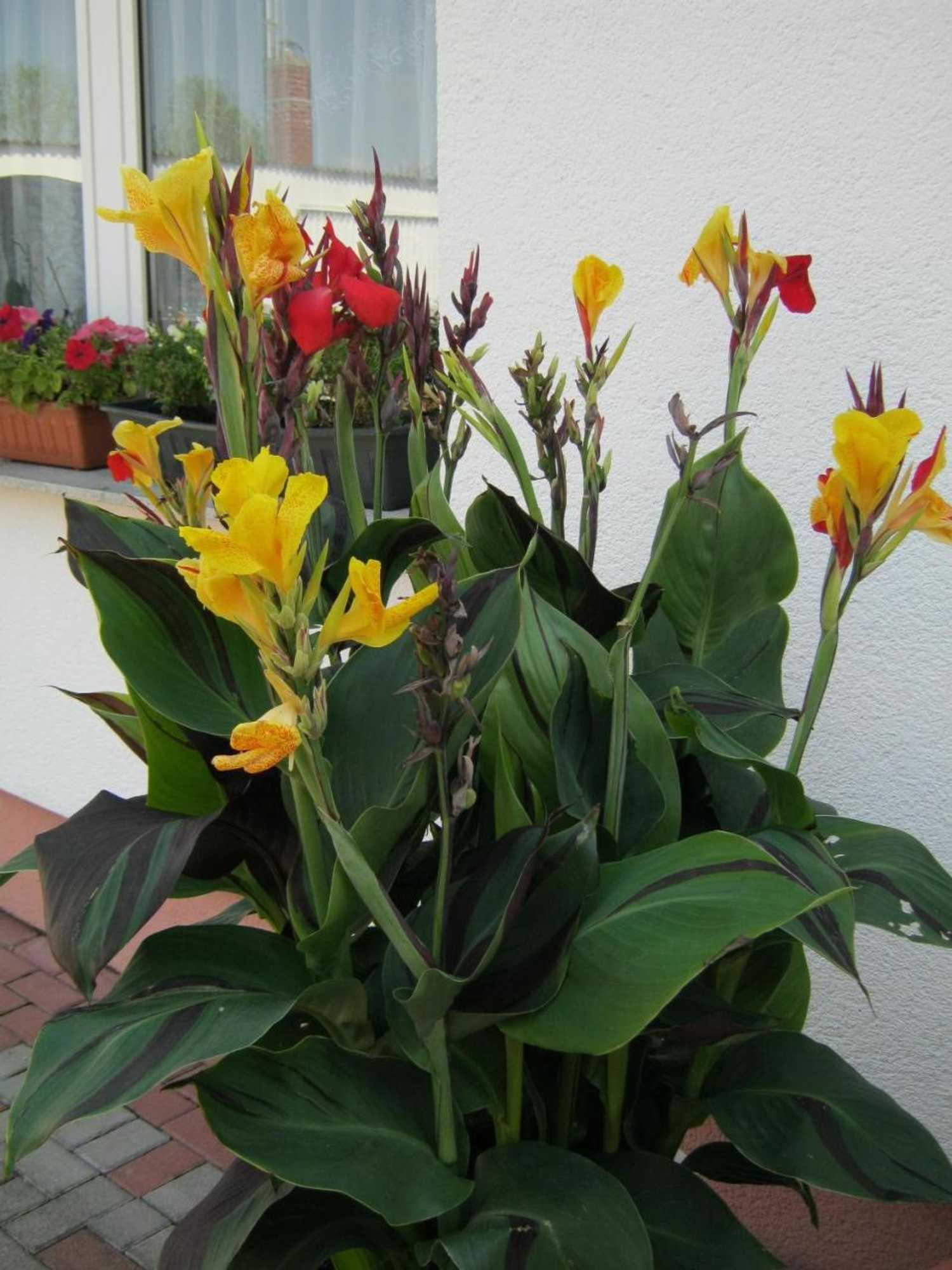 Gift card for Hotel Landhaus Nassau