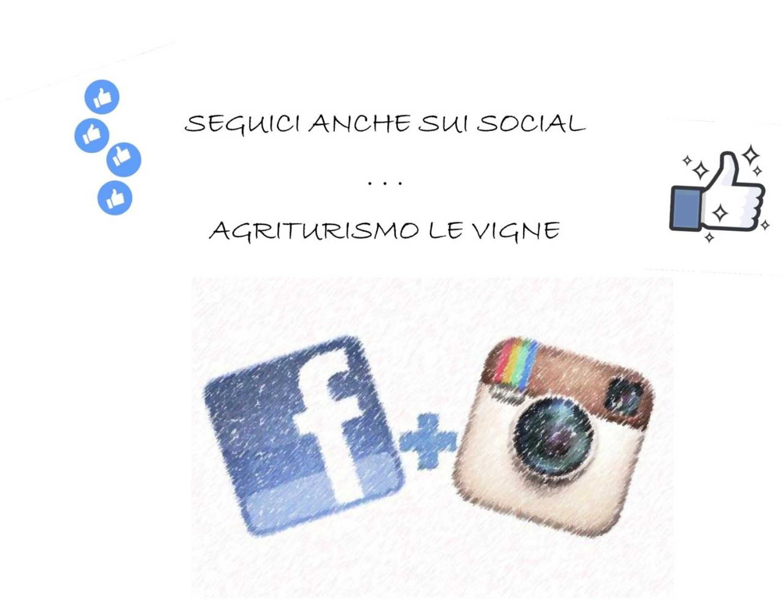 Gift card for Agriturismo Le Vigne