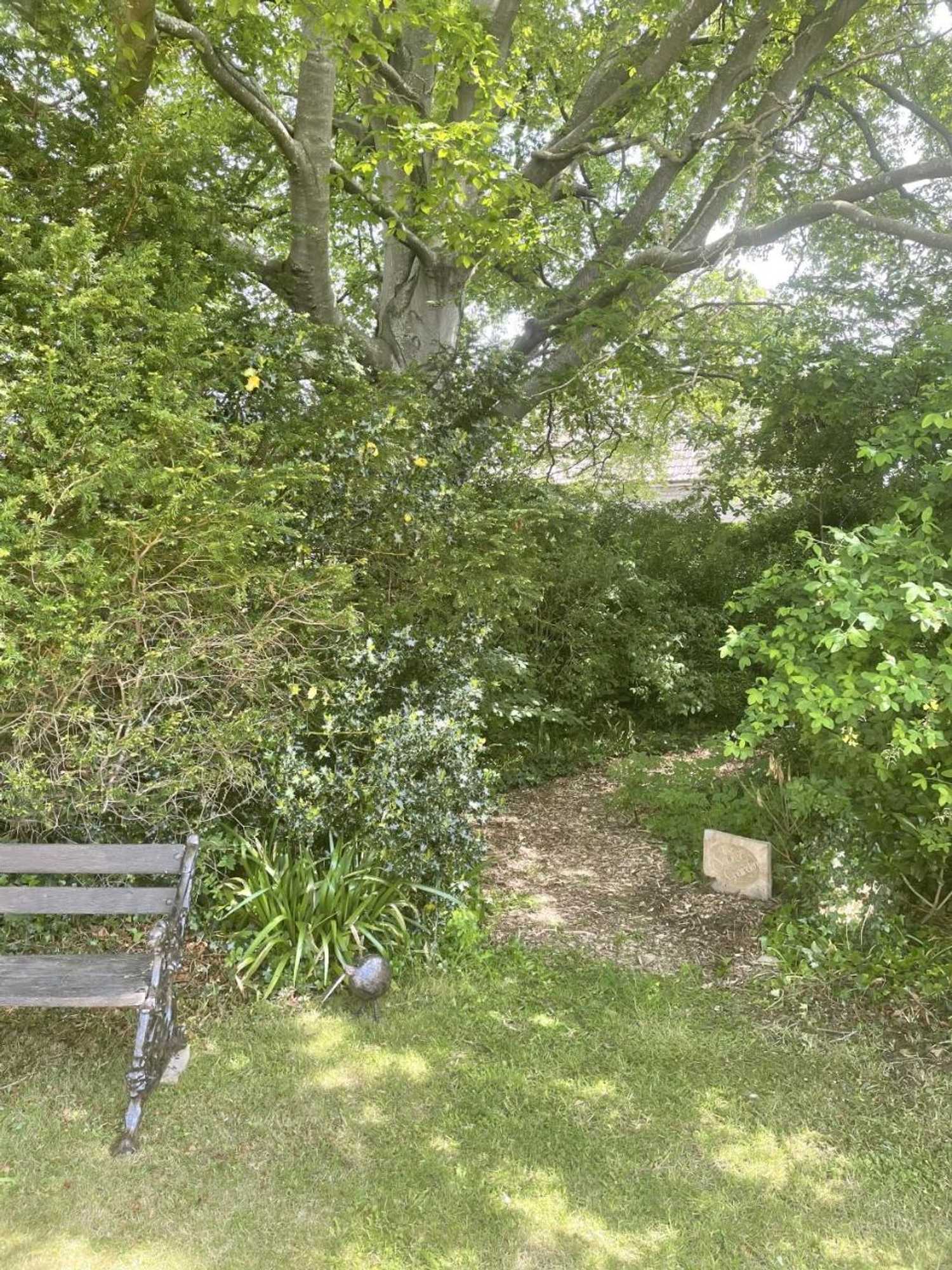 Gift card for The Mount B&b Somerton