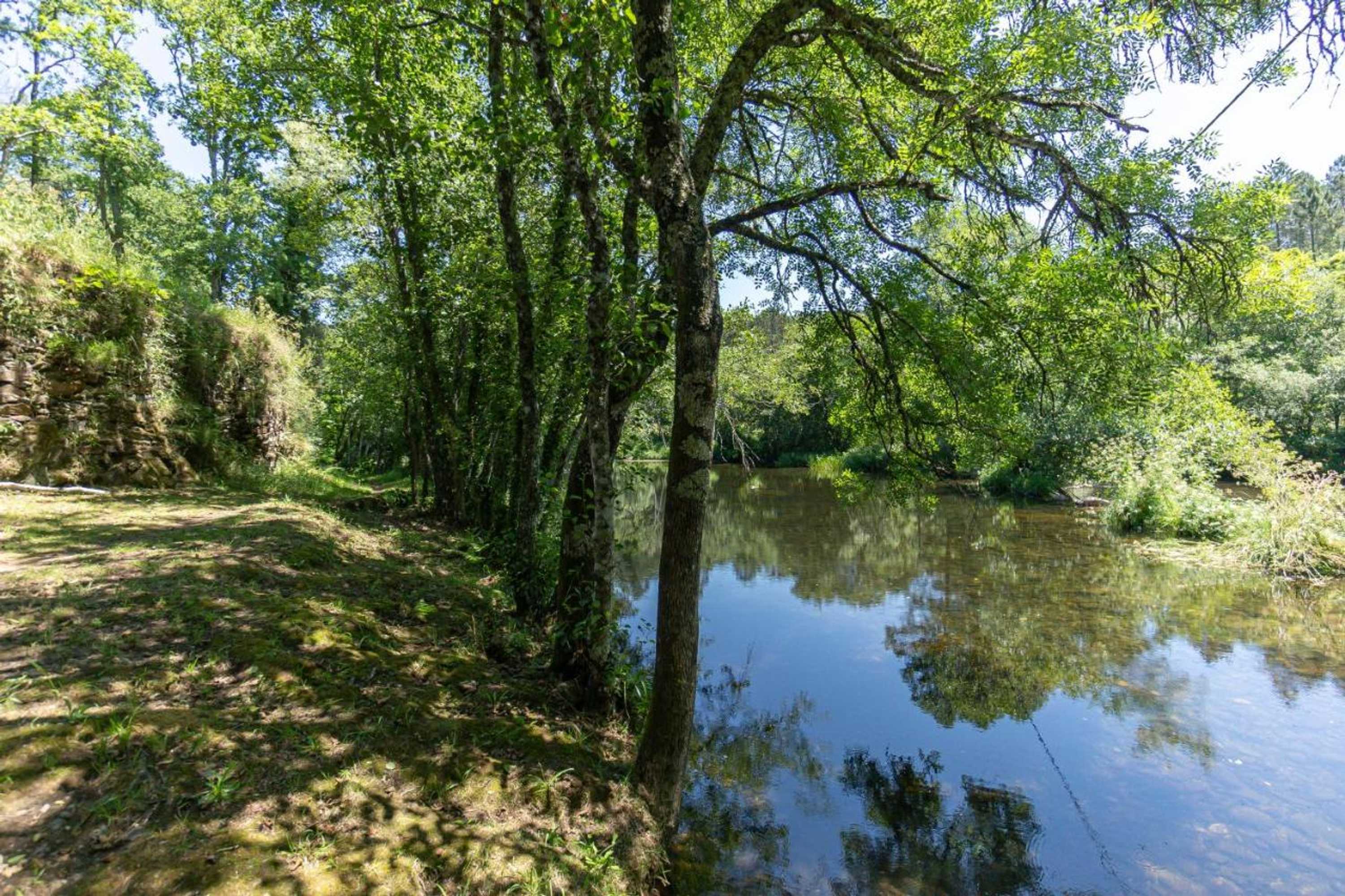 Gift card for Quinta Da Rabaçosa