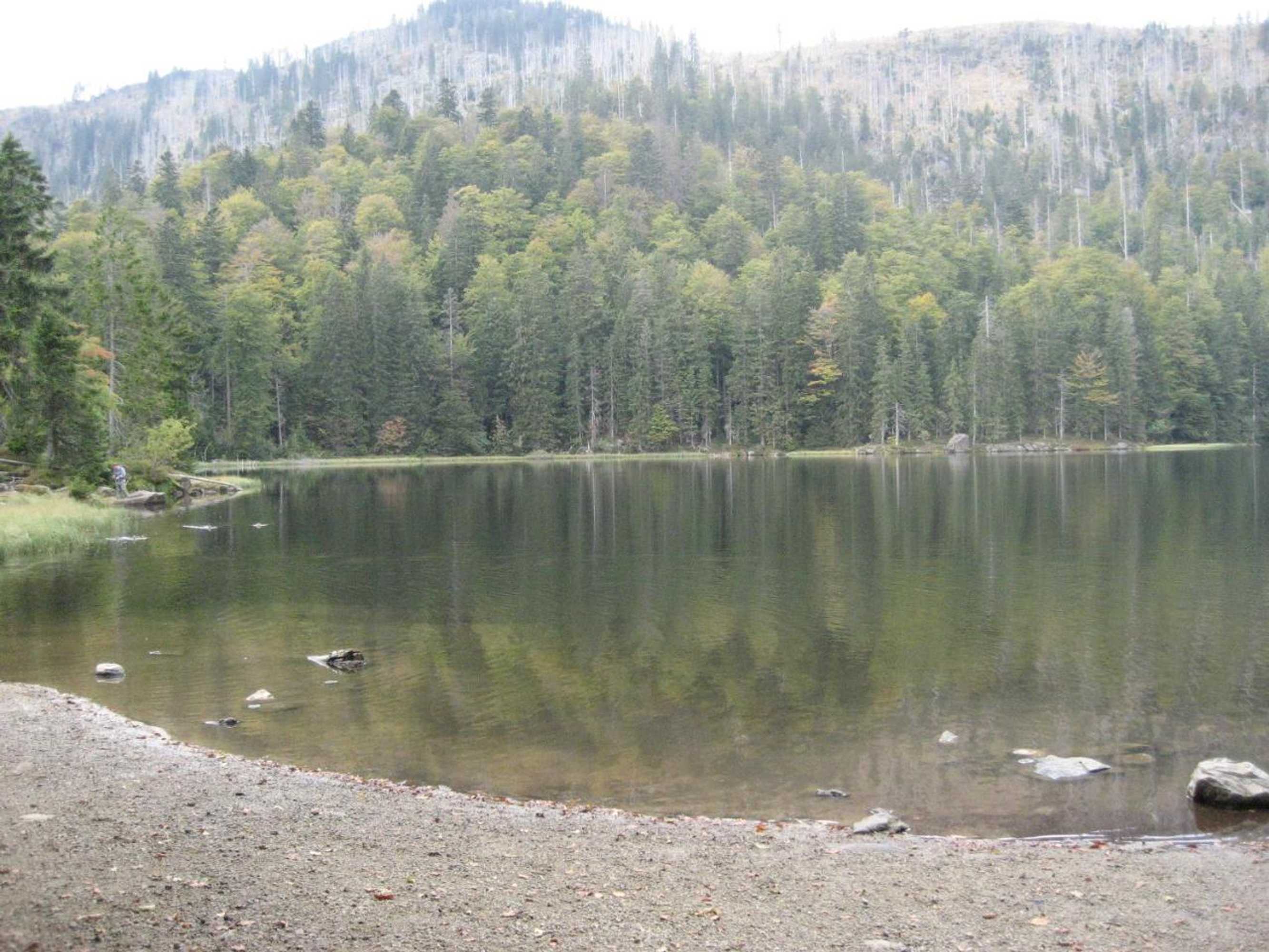 Gift card for Ferienwohnungen Weber