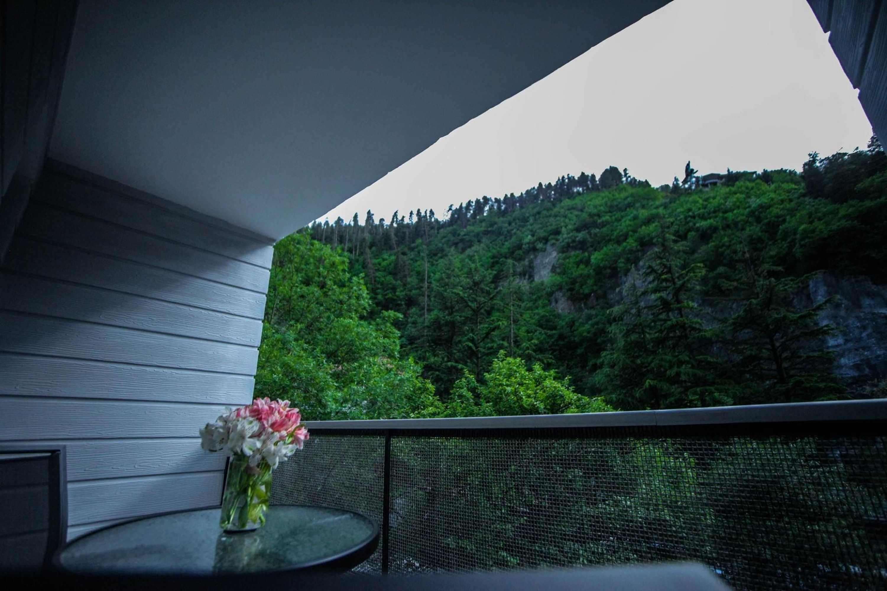 Gift card for Borjomi Underwood Hotel Gift card for Borjomi Underwood Hotel