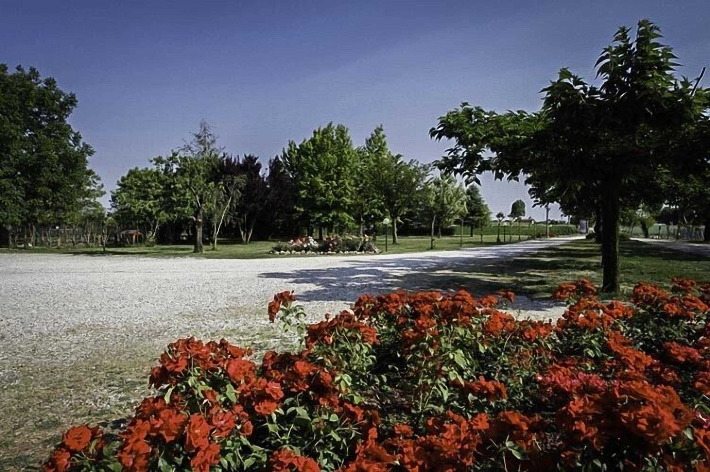 Gift card for Agriturismo La Borina Gift card for Agriturismo La Borina