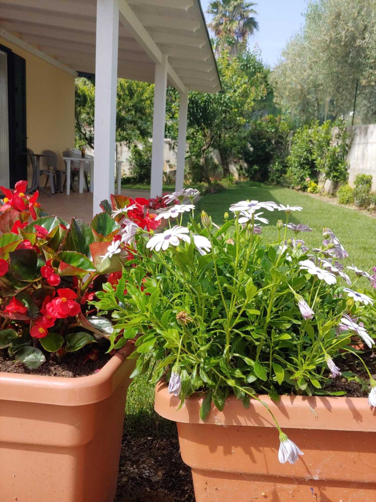 Gift card for B&b Villa Lucia