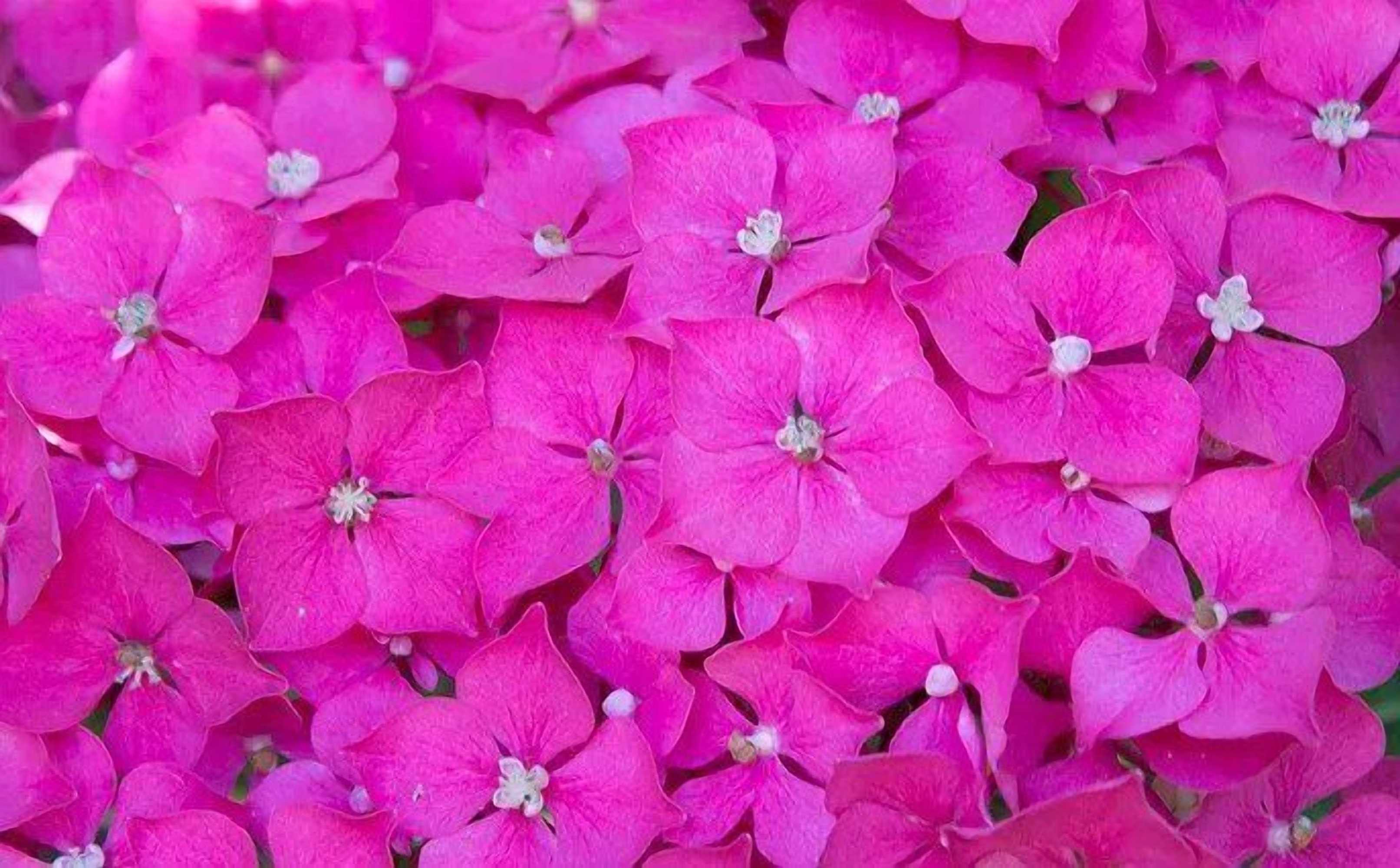 Gift card for The Old Stables