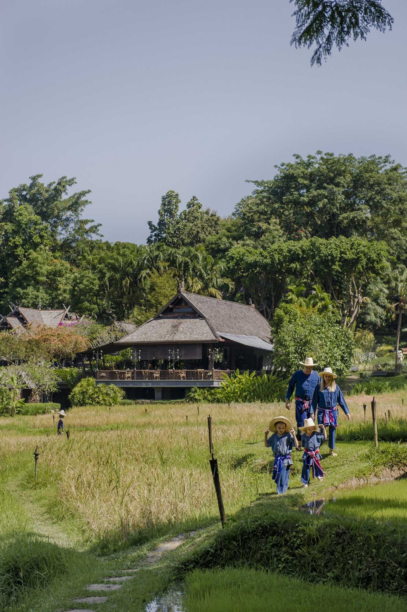 Gift card for Four Seasons Resort Chiang Mai - Sha Plus Gift card for Four Seasons Resort Chiang Mai - Sha Plus