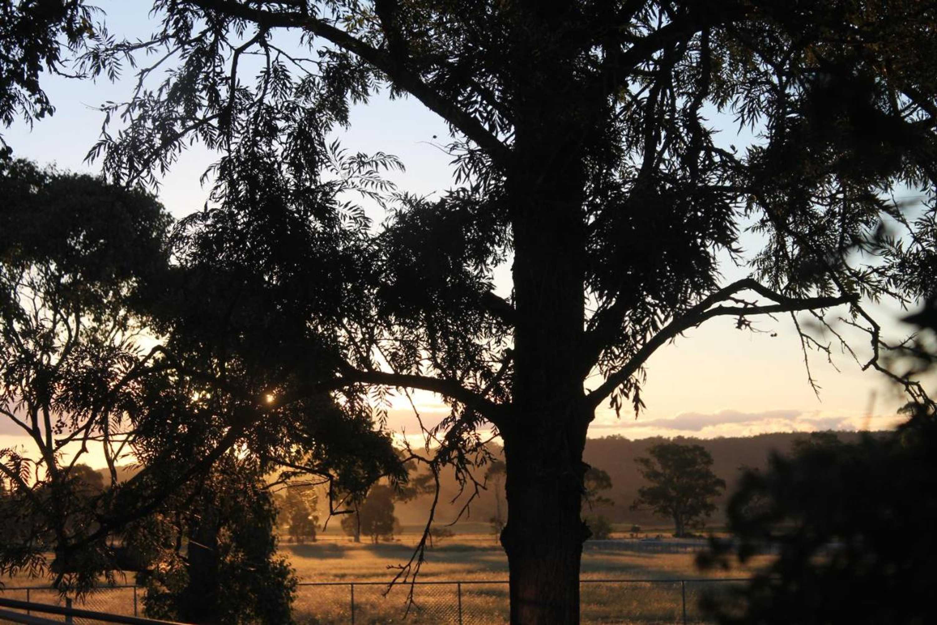 Gift card for Rose City Caravan Park