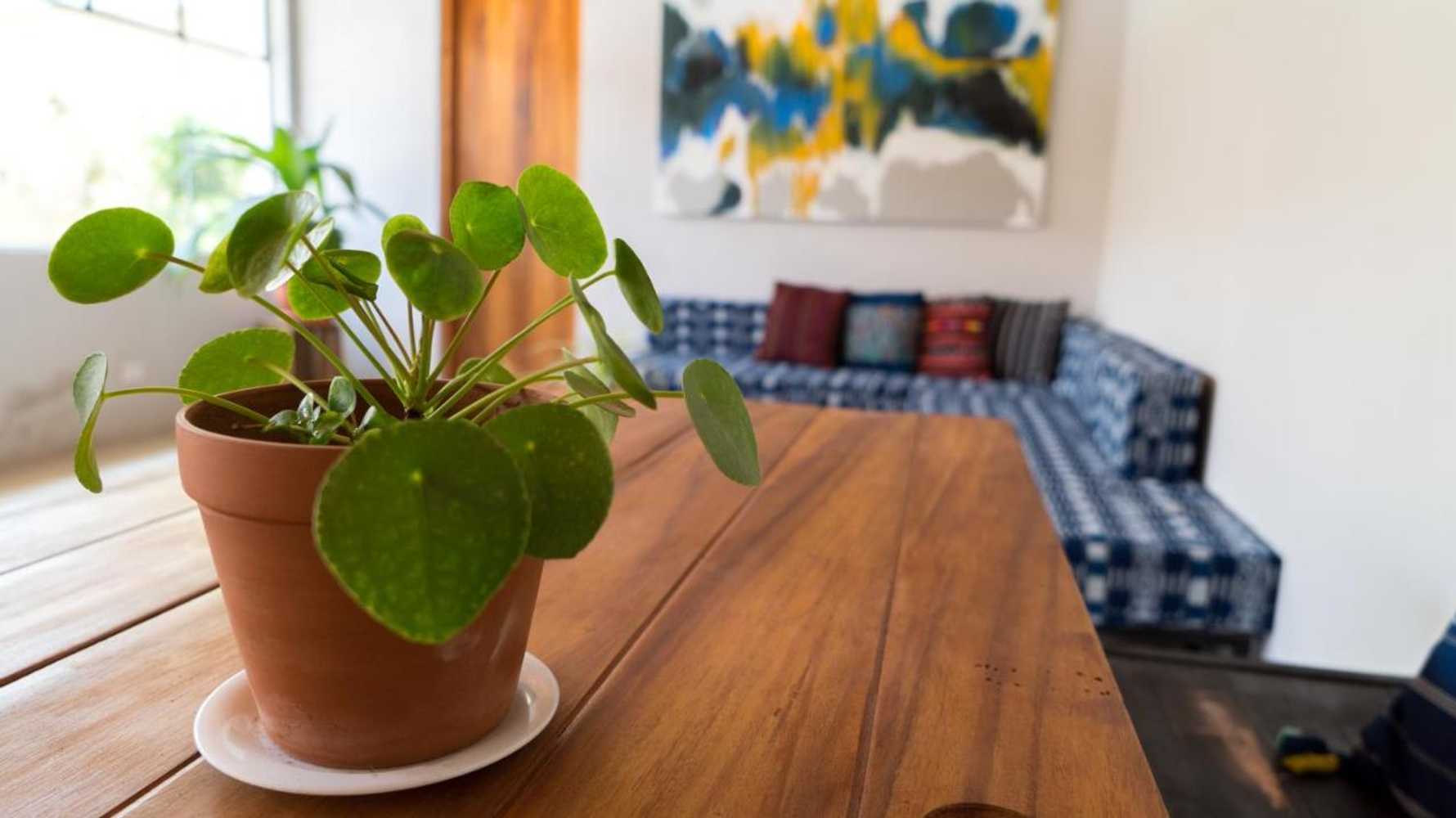 Gift card for Hotel Muchá