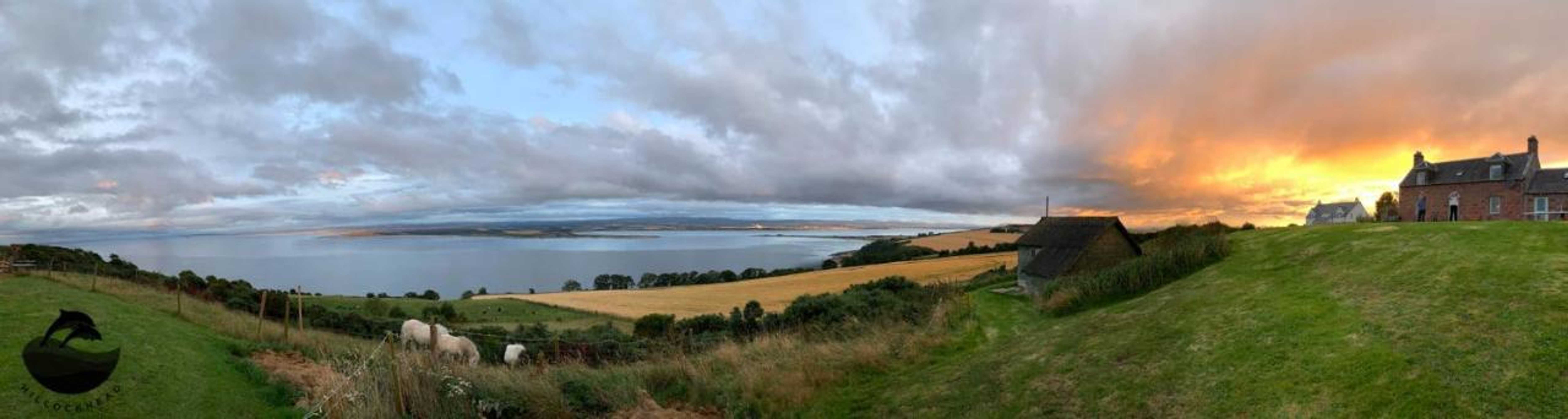 Gift card for Dolphin View Hillockhead