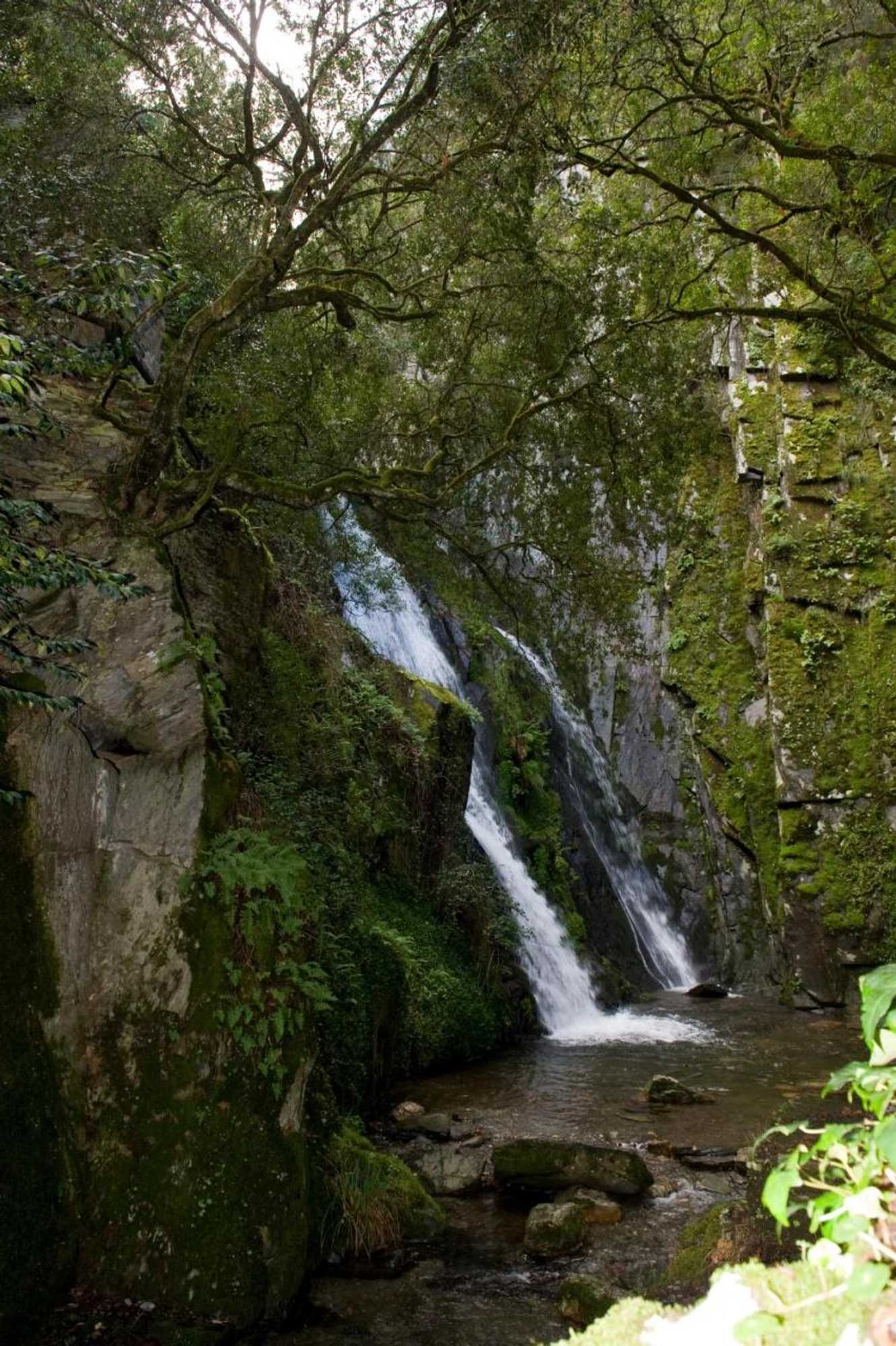 Gift card for Casa do Rosmaninho