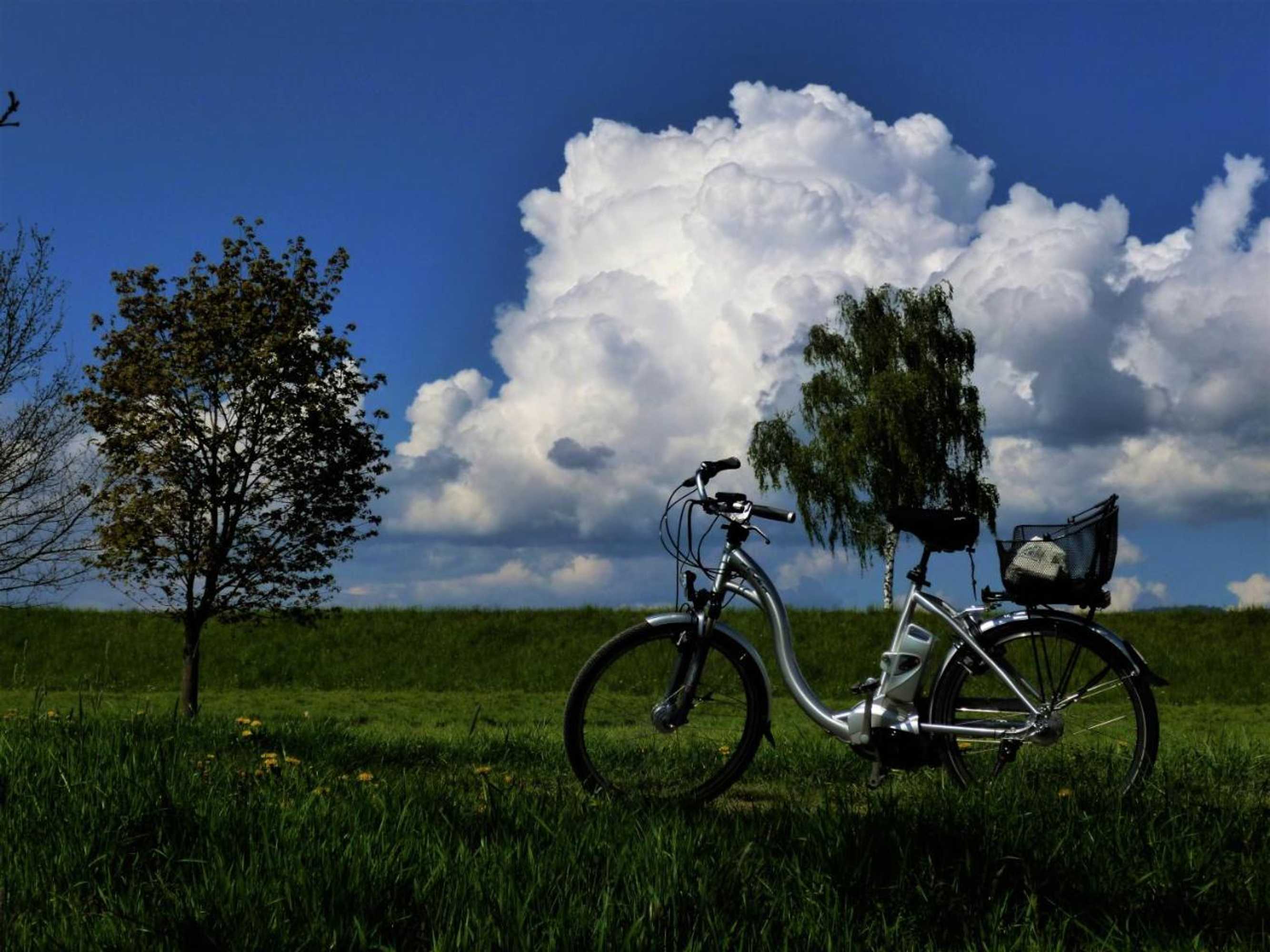 Gift card for Bachhof Resort Apartments