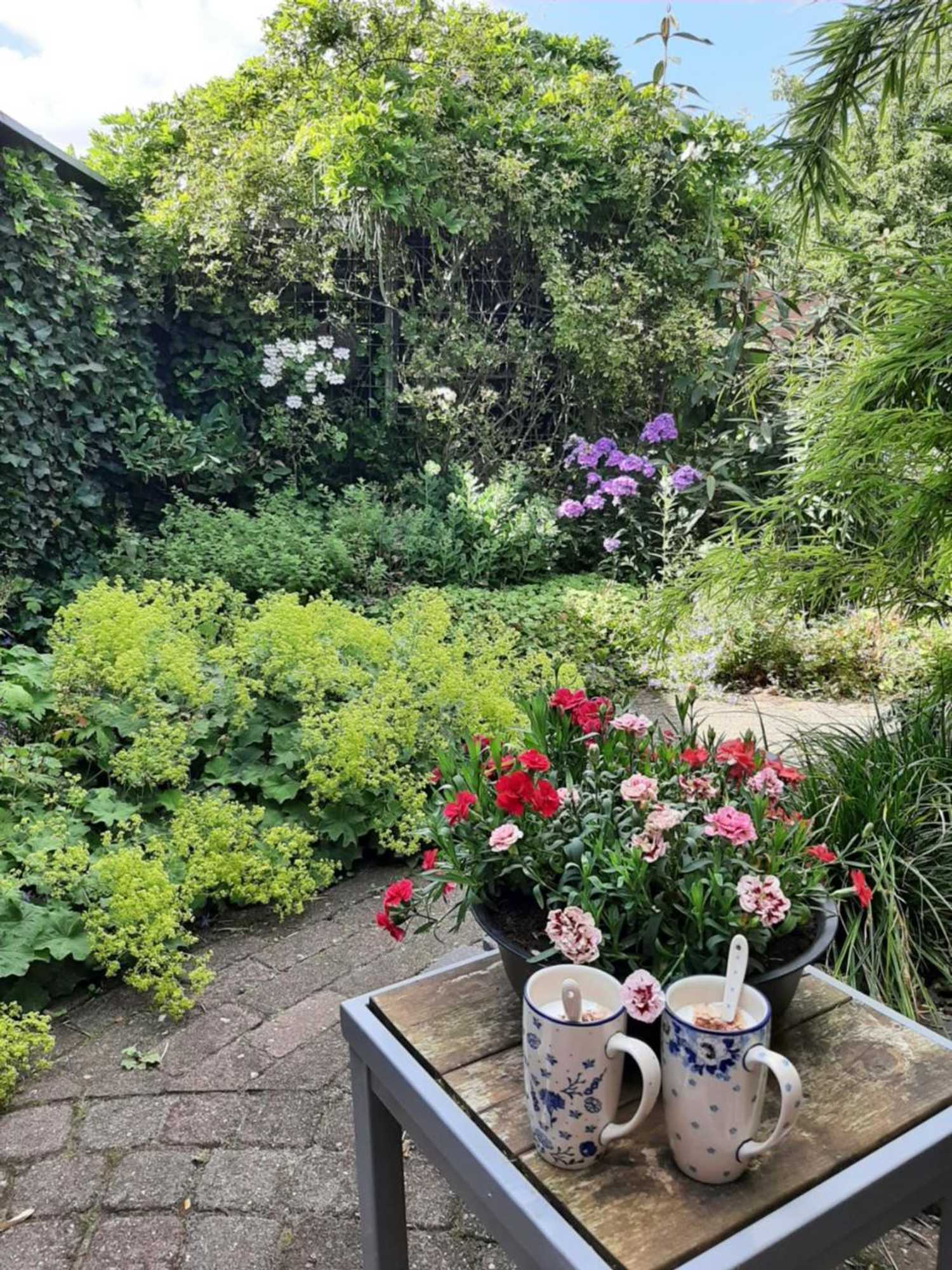 Gift card for Mahil-Laya