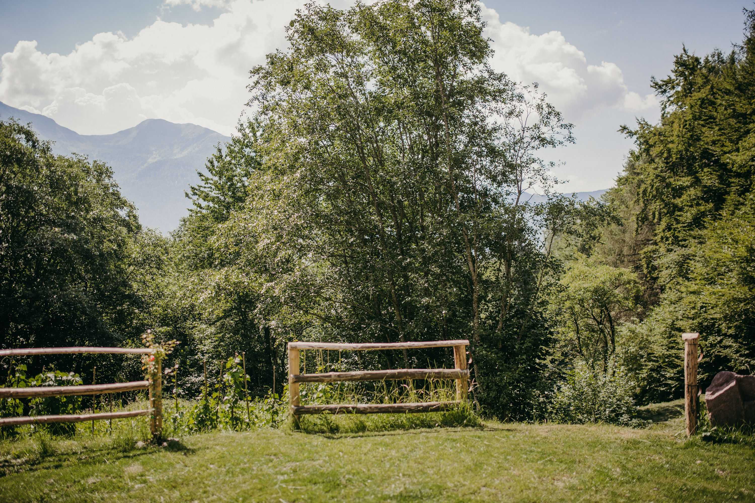 Gift card for Maso Nel Bosco