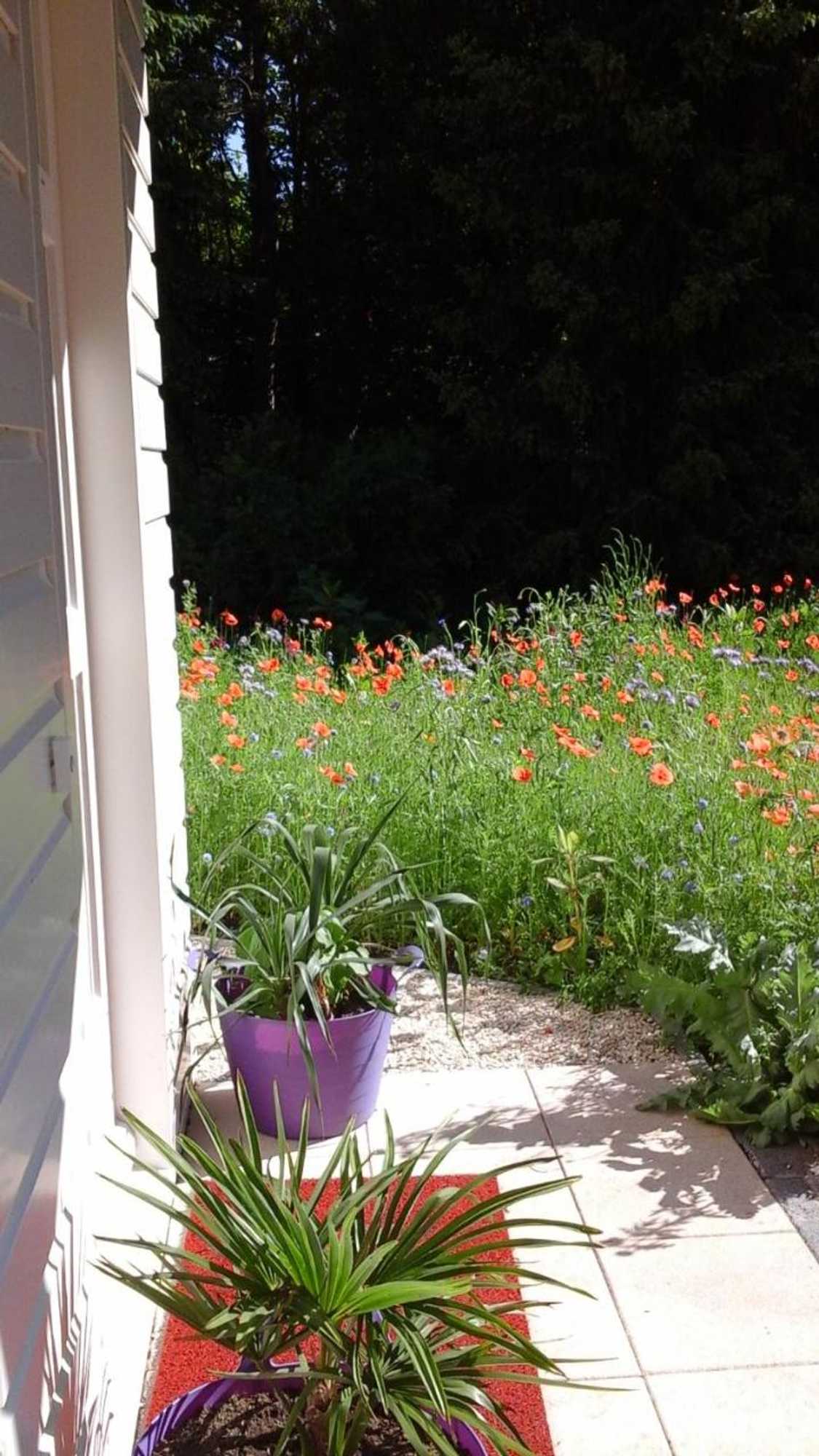 Gift card for Het Findament Tiny House