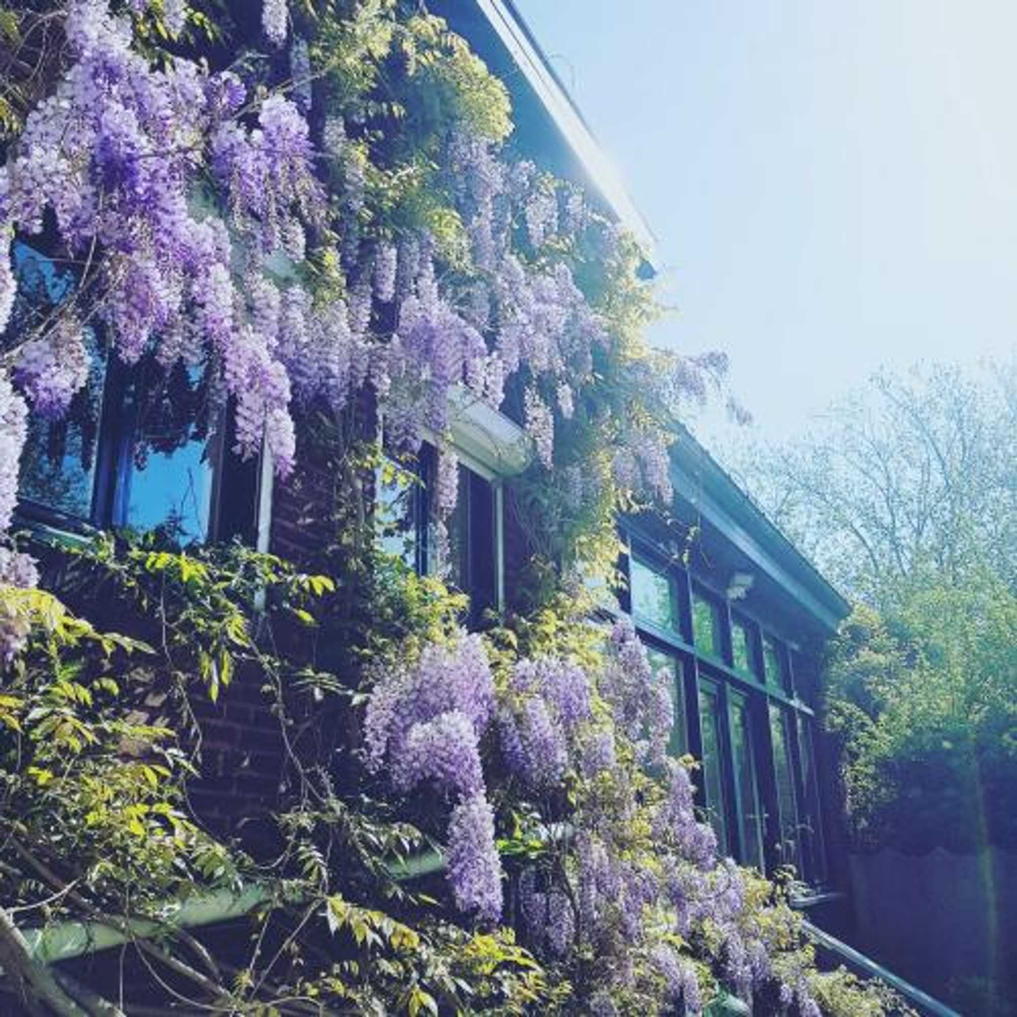 Gift card for Vakantiewoning Guesthouse Momo Gift card for Vakantiewoning Guesthouse Momo