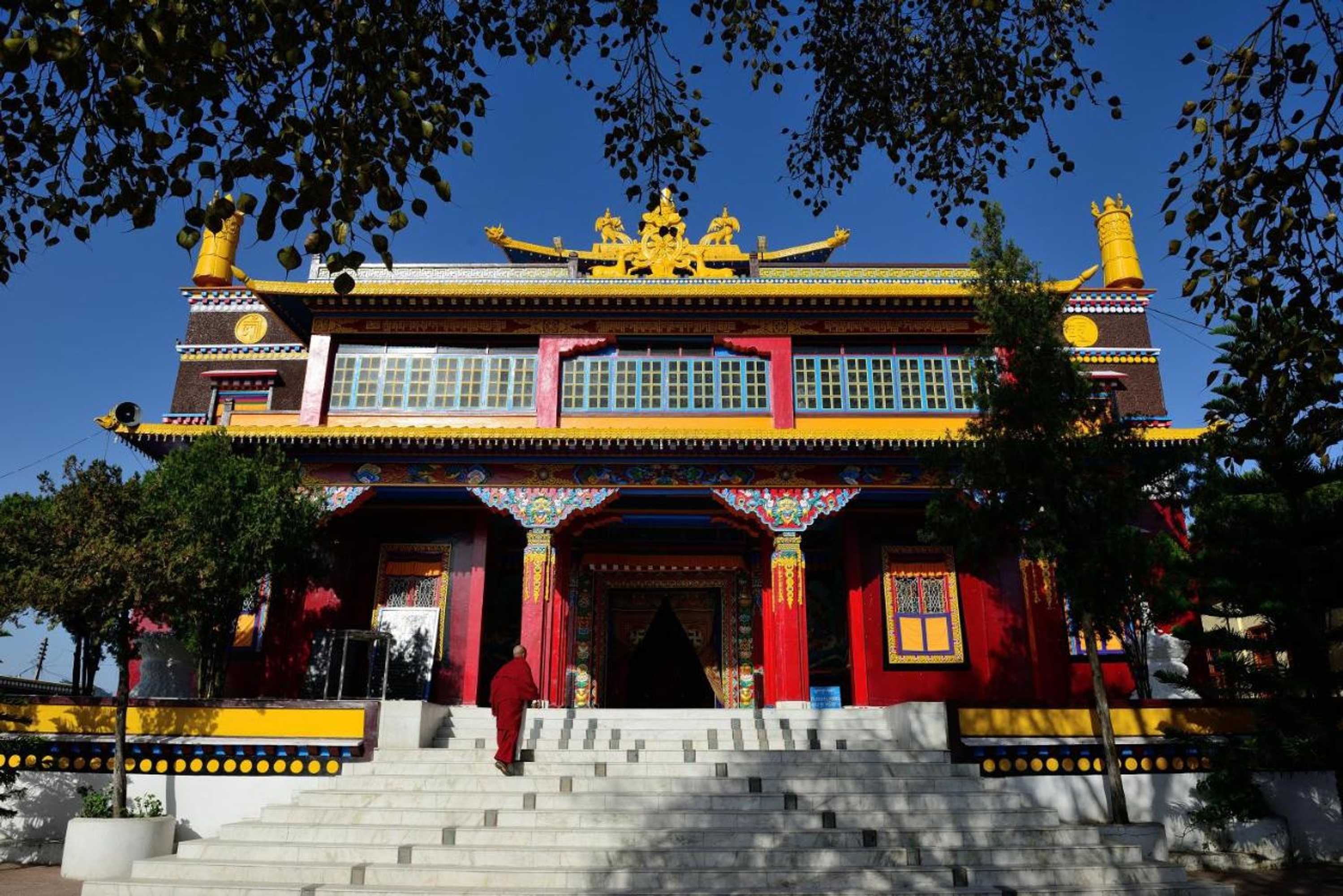 Gift card for Hotel Tip Top