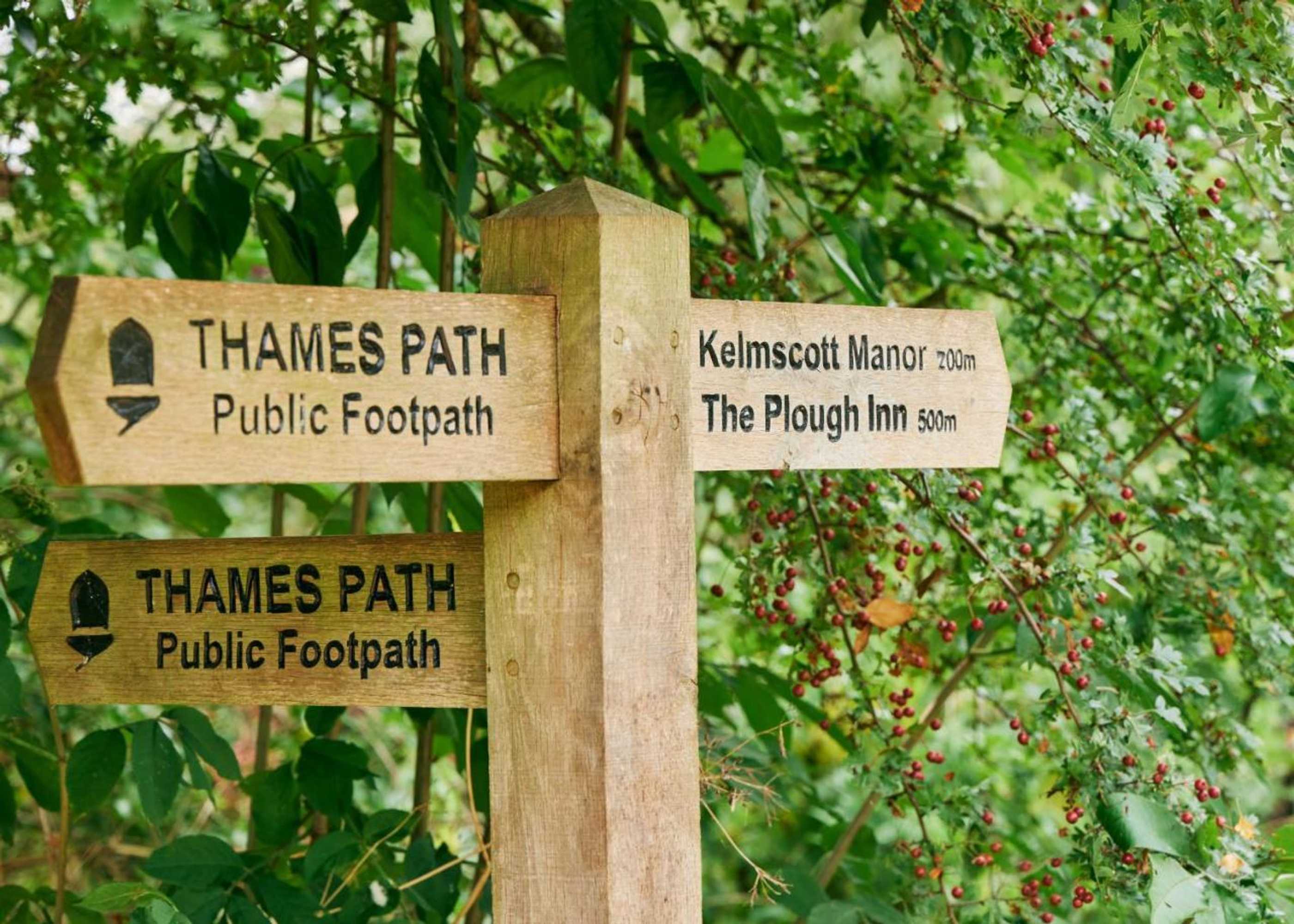 Gift card for The Plough Inn