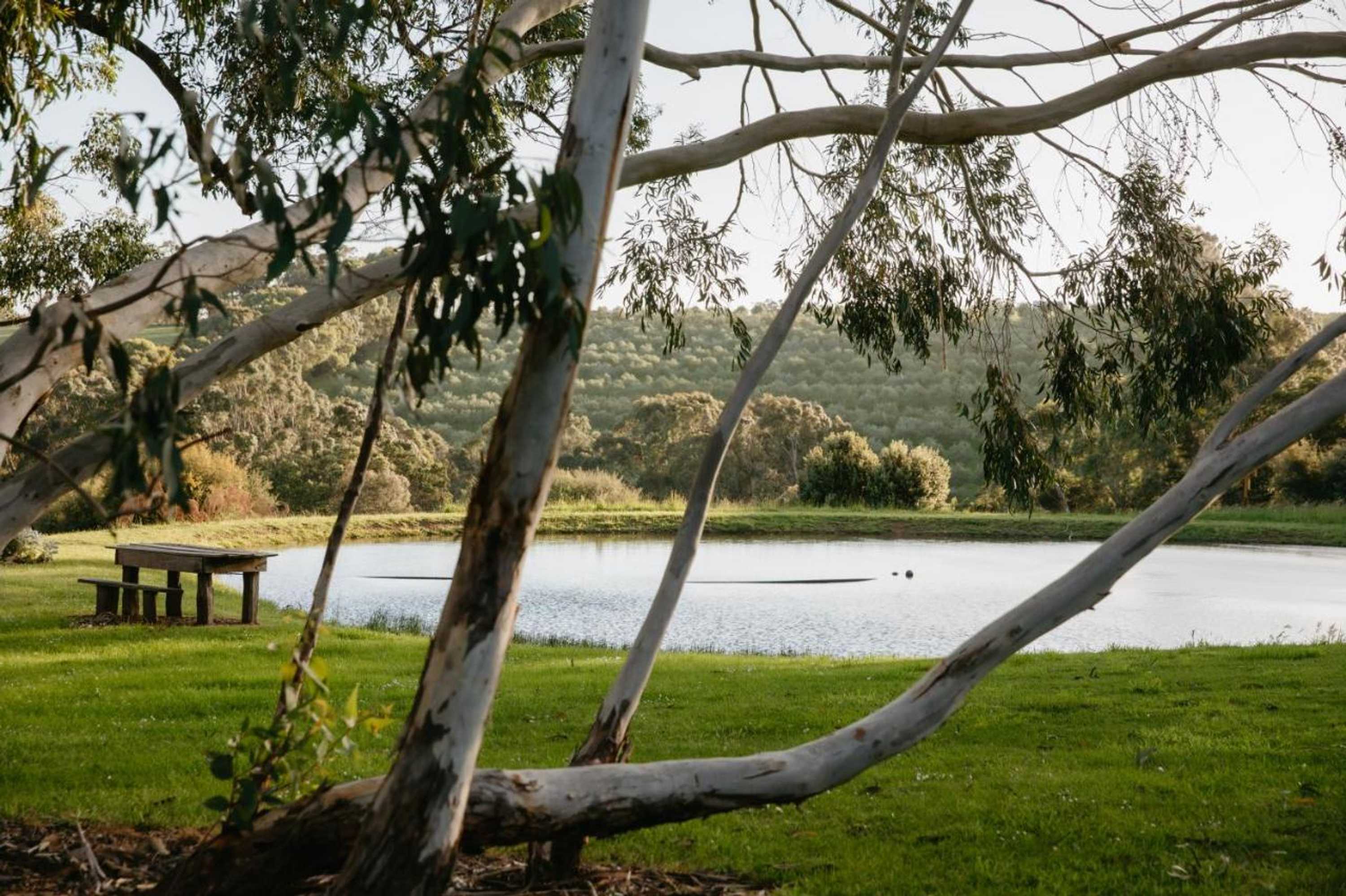 Gift card for Hart's Farm