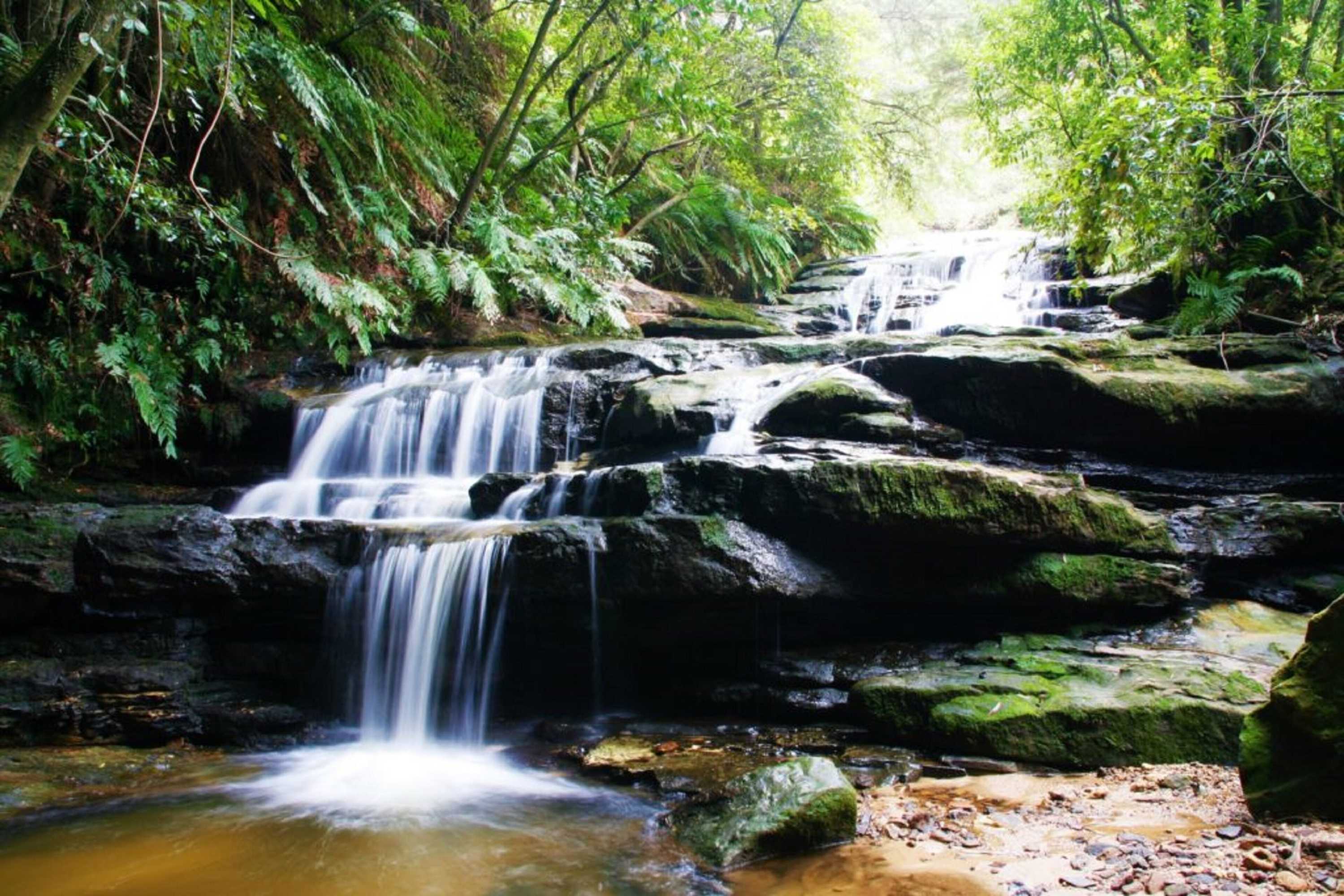 Gift card for Leura Rose Cottage