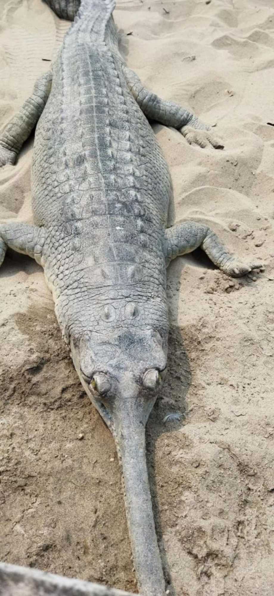 Gift card for Sauraha Holiday Home Riverside