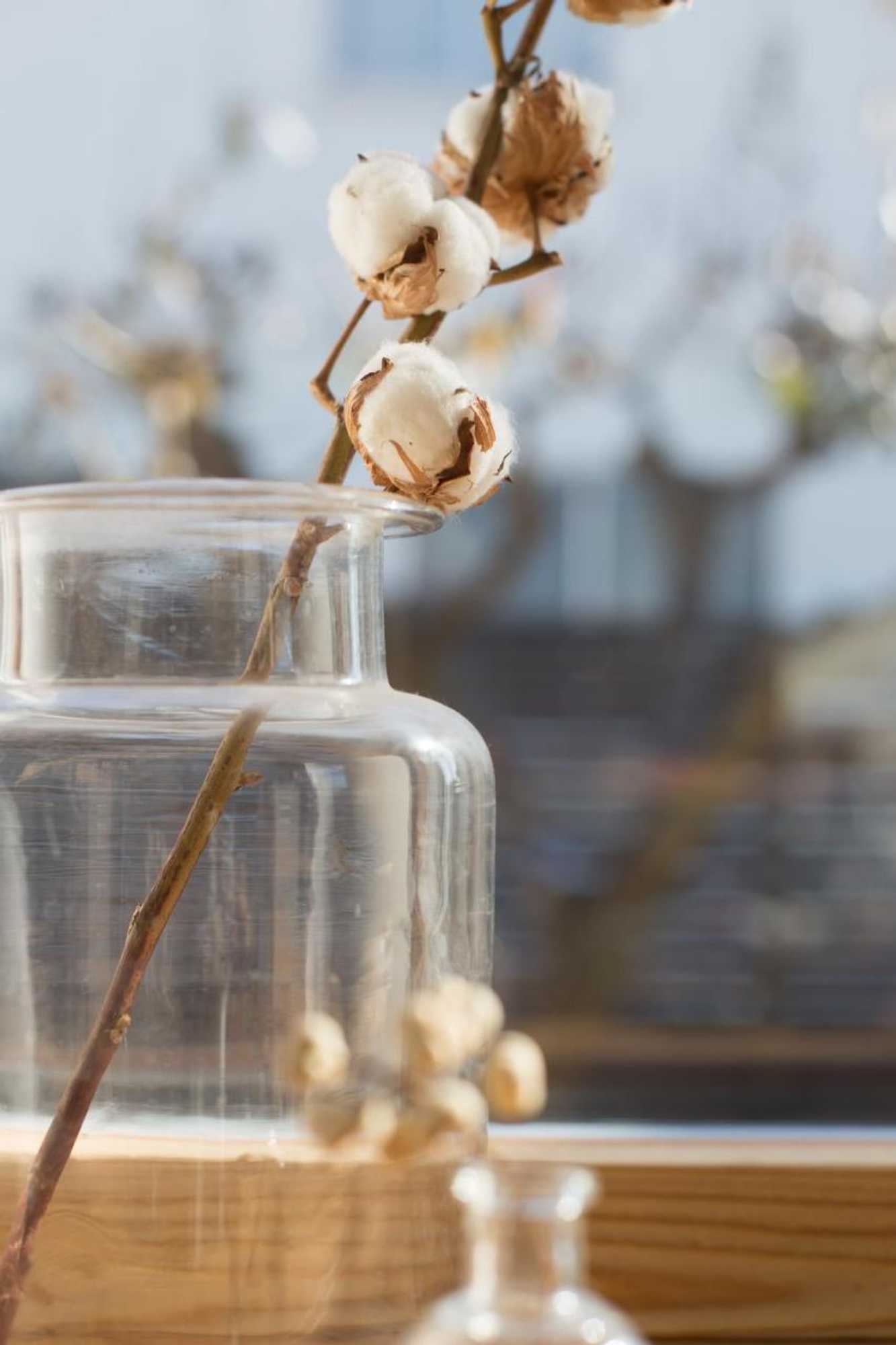 Gift card for Goten Tomoe Residence