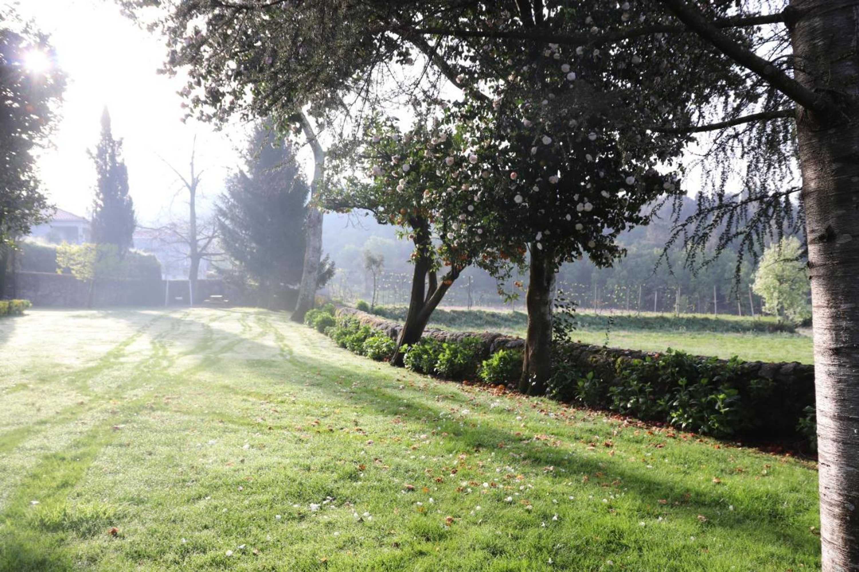 Gift card for Cazal Da Lamella