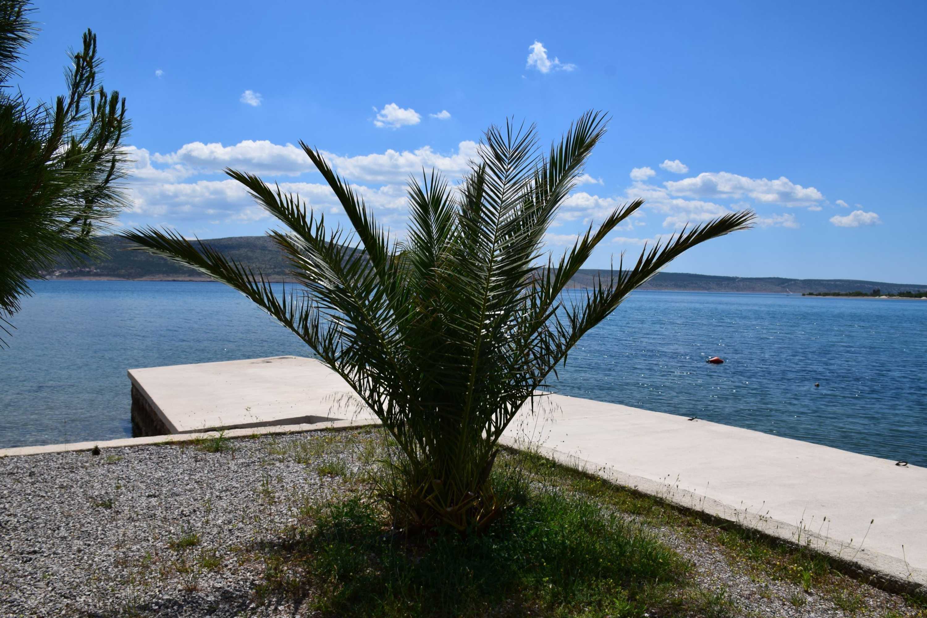 Gift card for Apartments And Rooms Marko