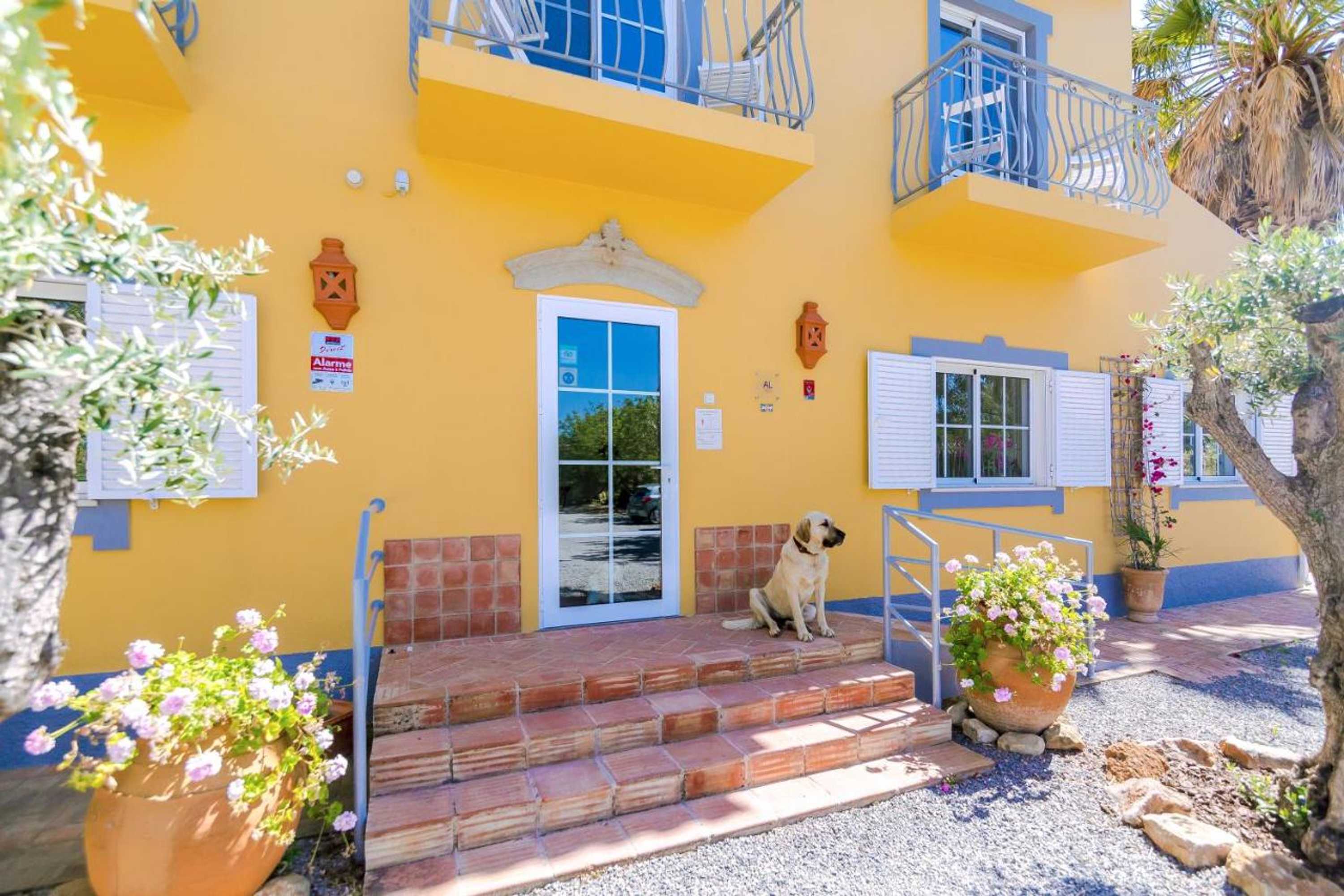 Gift card for Almargem Lusitano