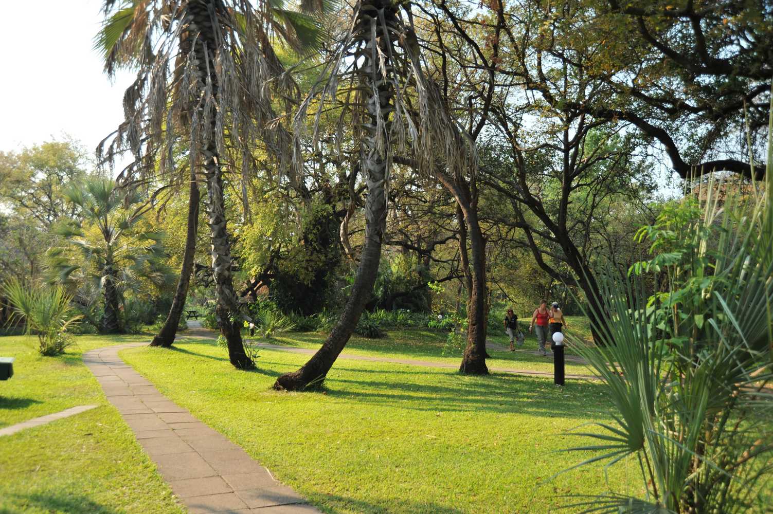 Gift card for Victoria Falls Waterfront Gift card for Victoria Falls Waterfront