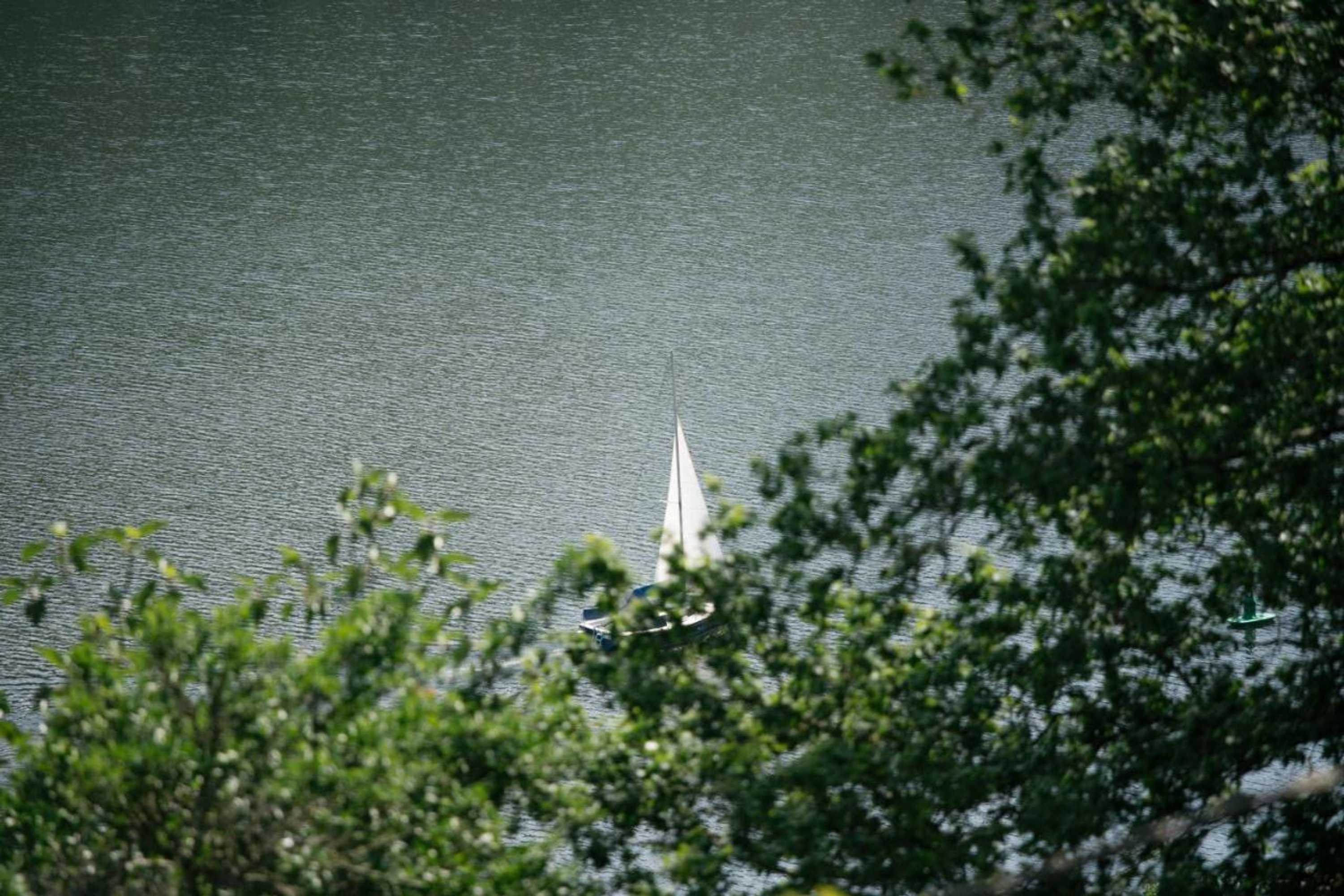 Gift card for Quinta do Pomar Maior Douro - Porto Carvoeiro Gift card for Quinta do Pomar Maior Douro - Porto Carvoeiro