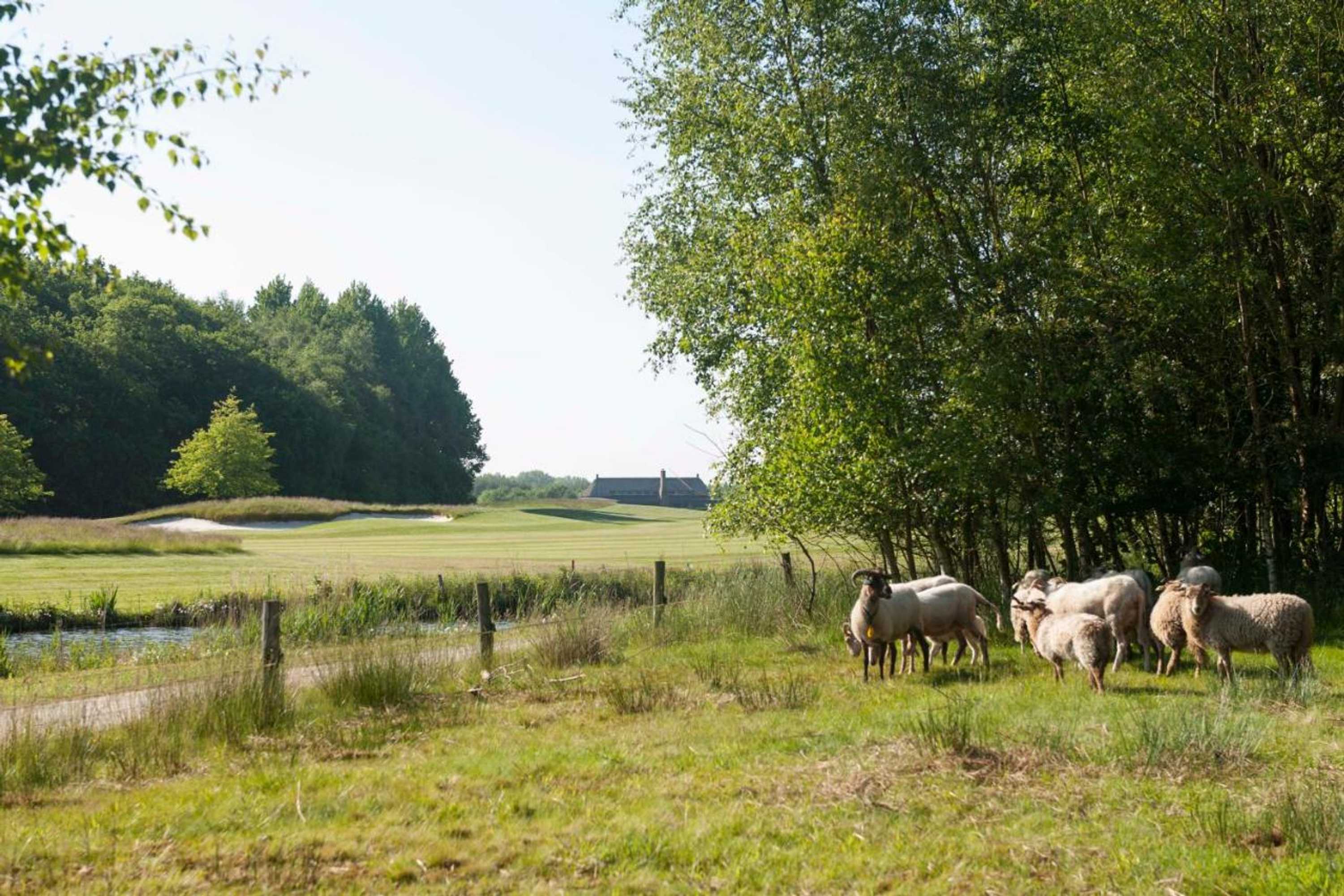 Gift card for Golf Lodge