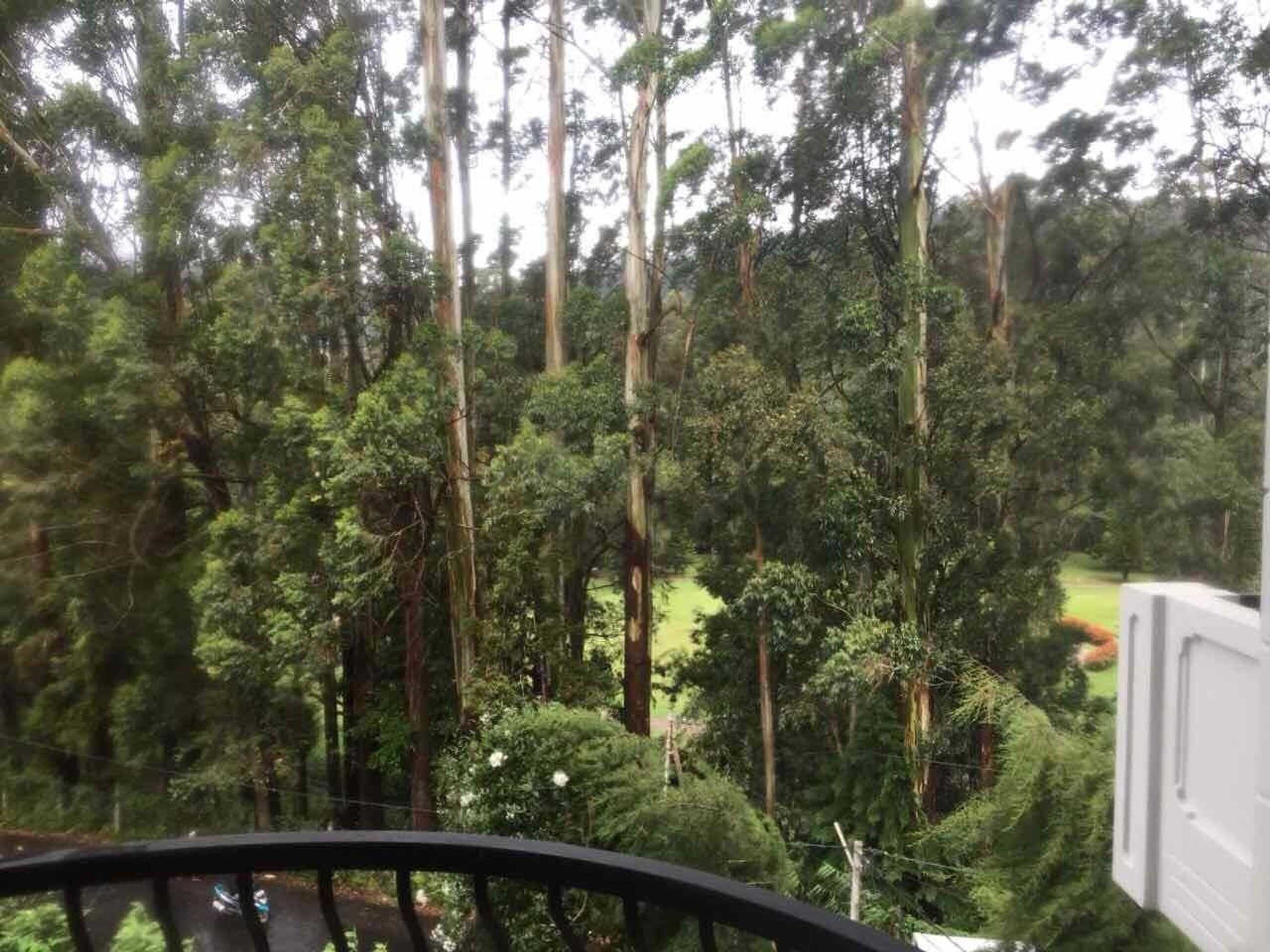 Gift card for Panorama Green View Hotel