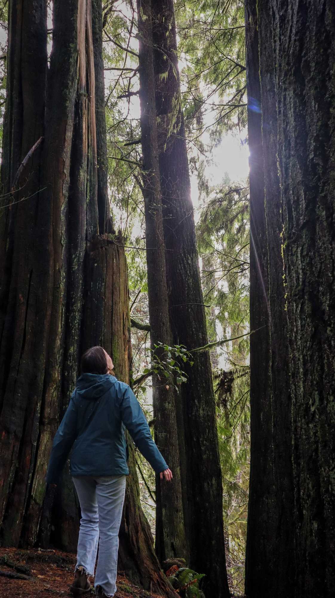 Gift card for Pacific Dunes Resort