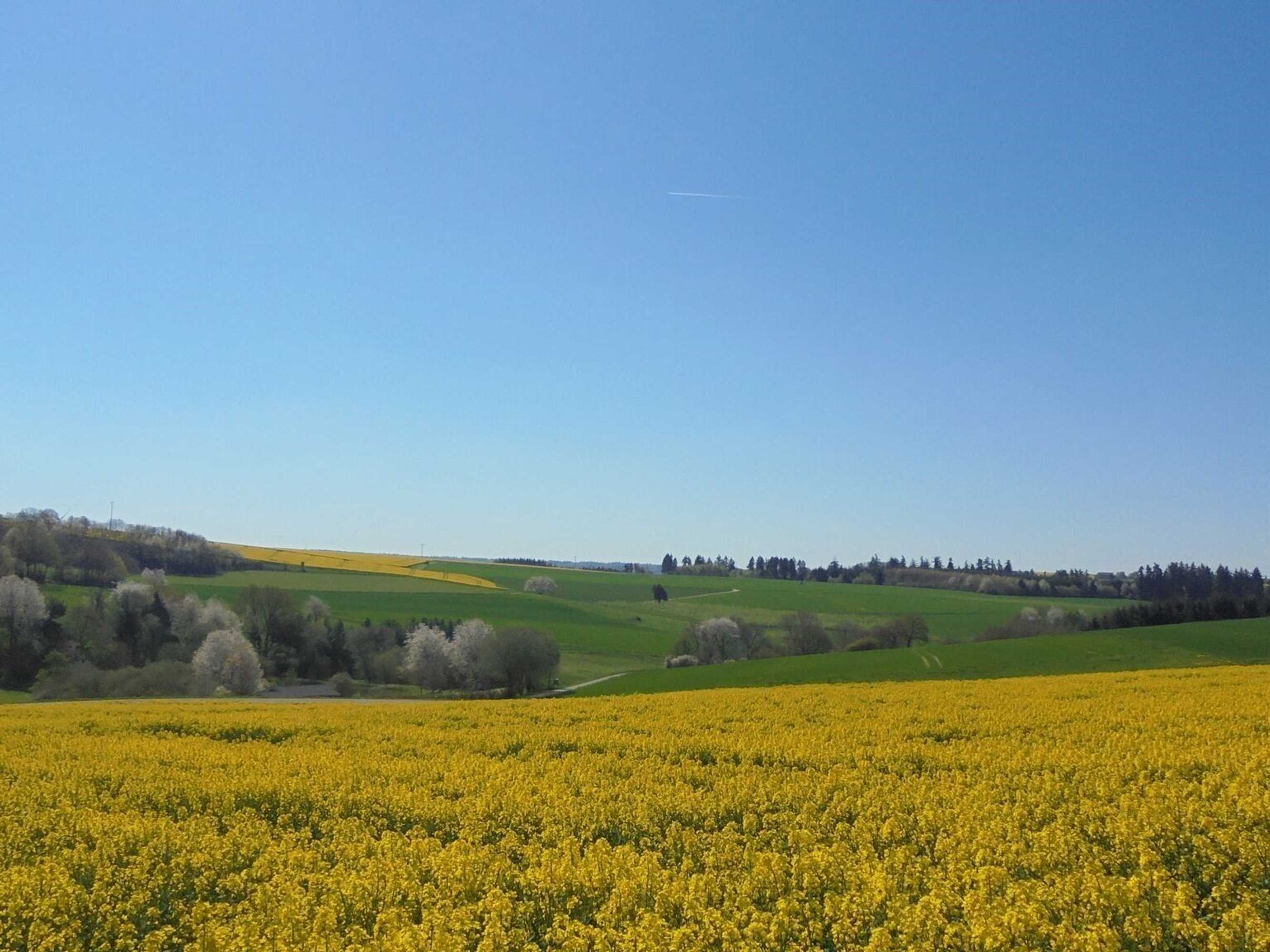 Gift card for Ferien im Hunsrück