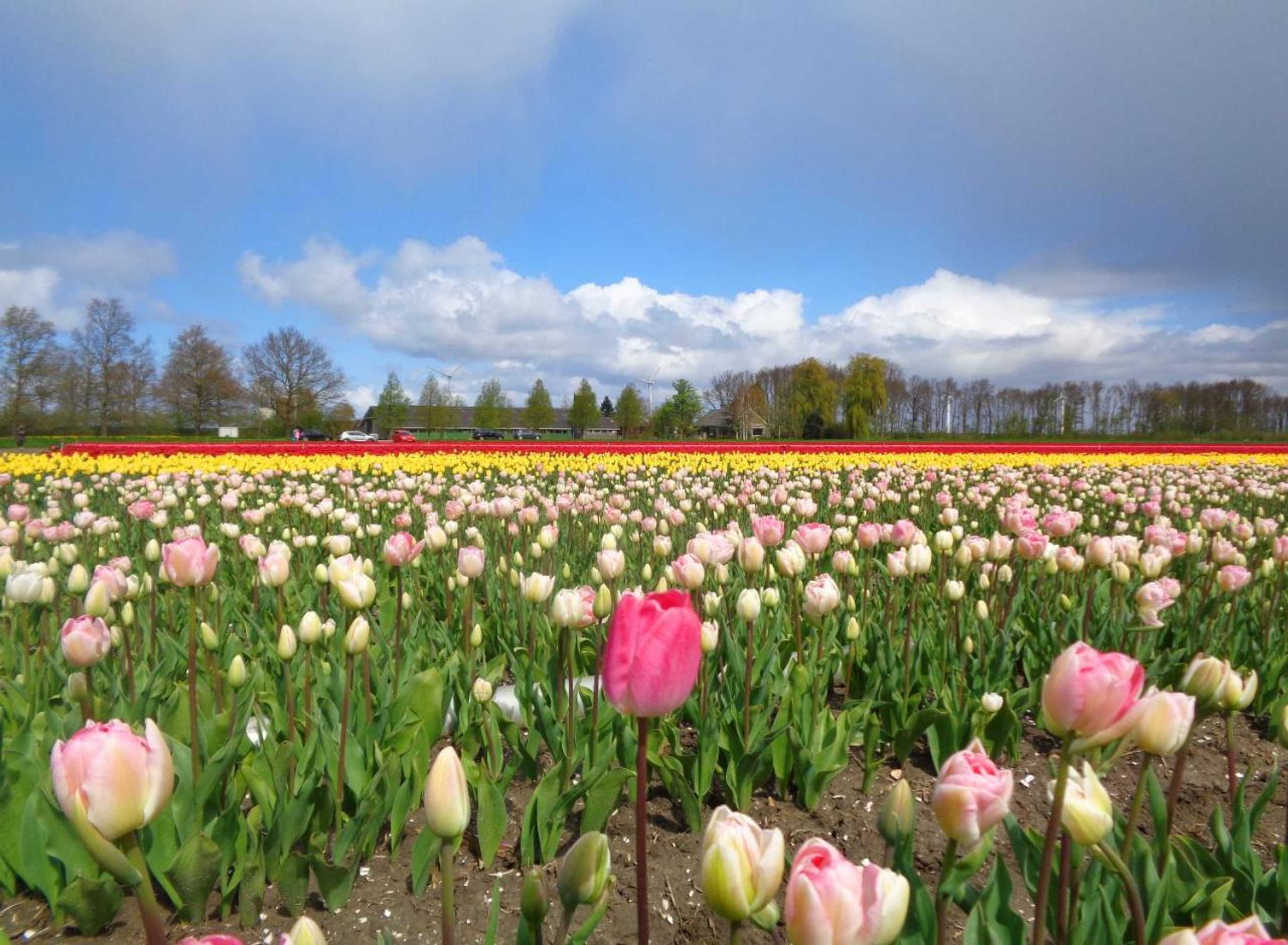 Gift card for Ferienresidenz Kormoran