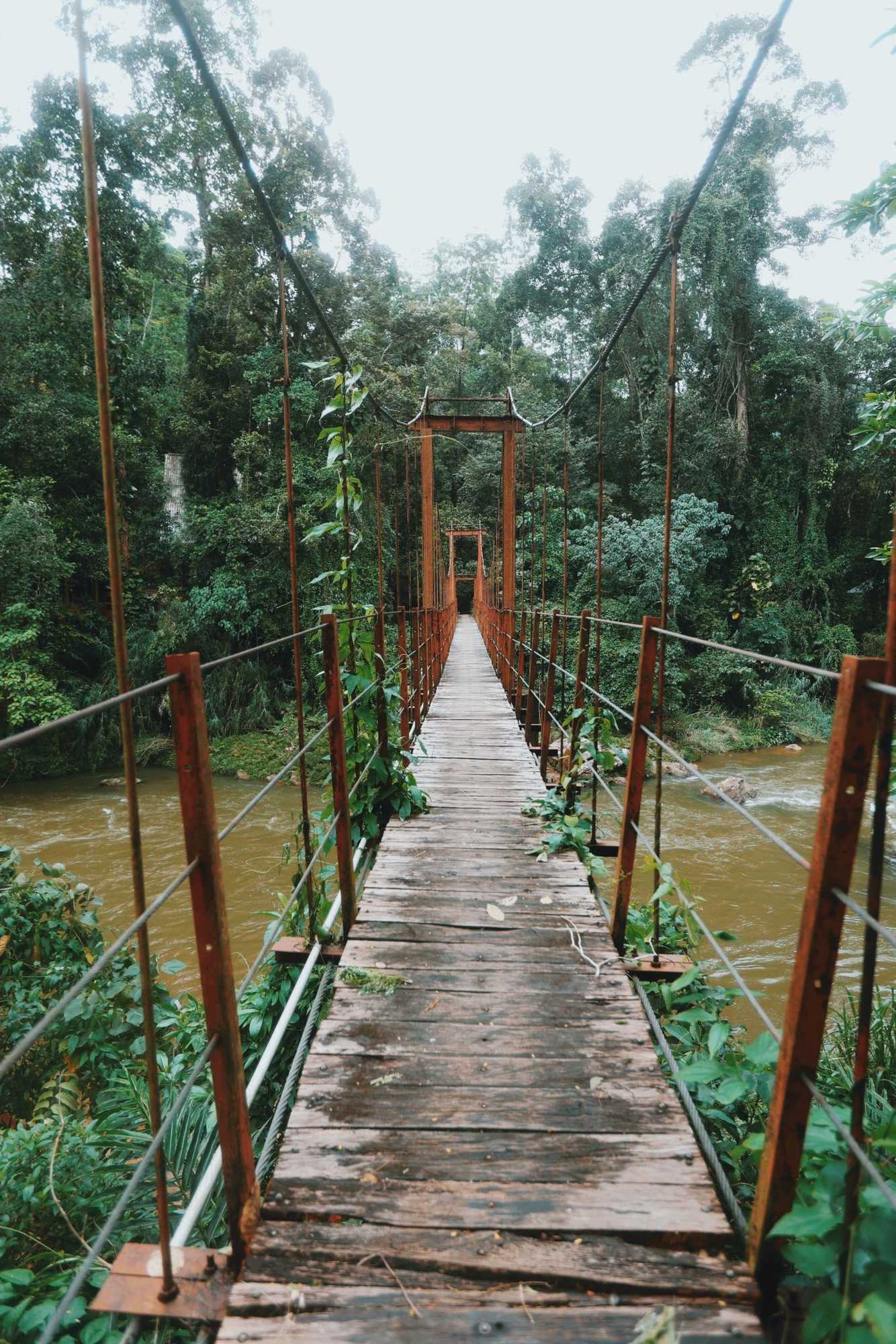 Gift card for Sinharaja Forest Gate Gift card for Sinharaja Forest Gate