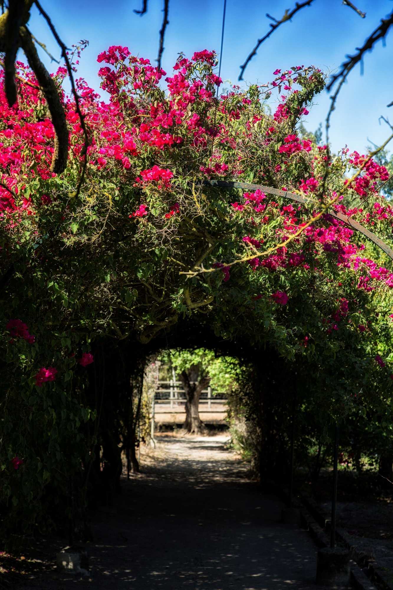 Gift card for Quinta da Praia Das Fontes