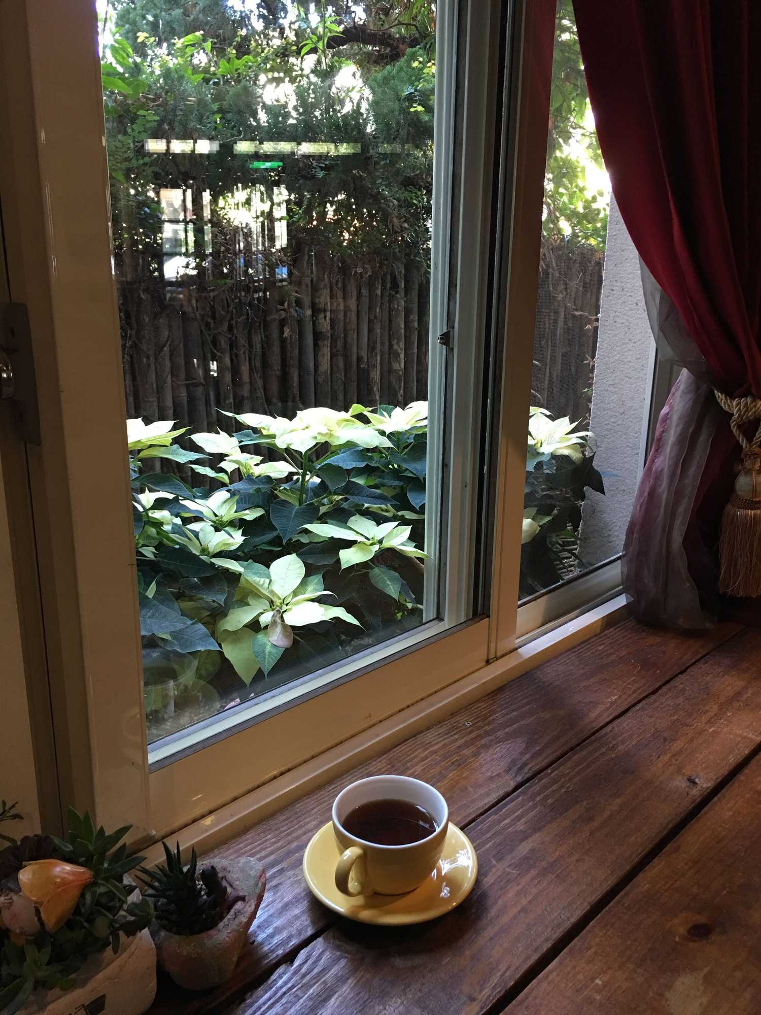 Gift card for Puli Town Bed And Breakfast Gift card for Puli Town Bed And Breakfast