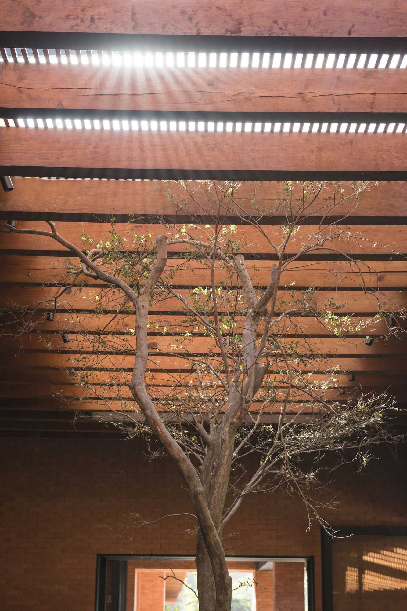 Gift card for Hotel Avandaro Golf And Spa