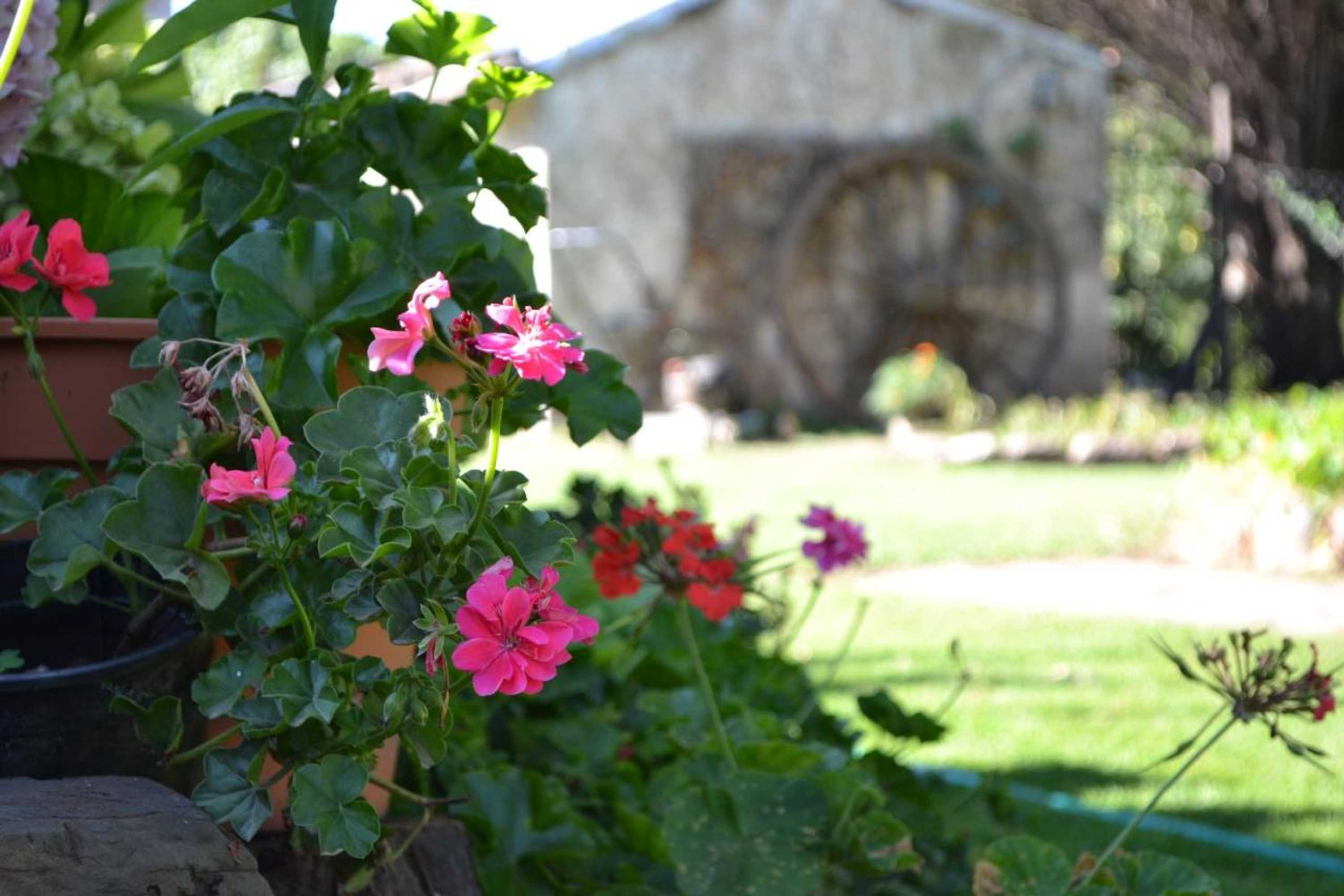 Gift card for Cabañas Los Relinchos