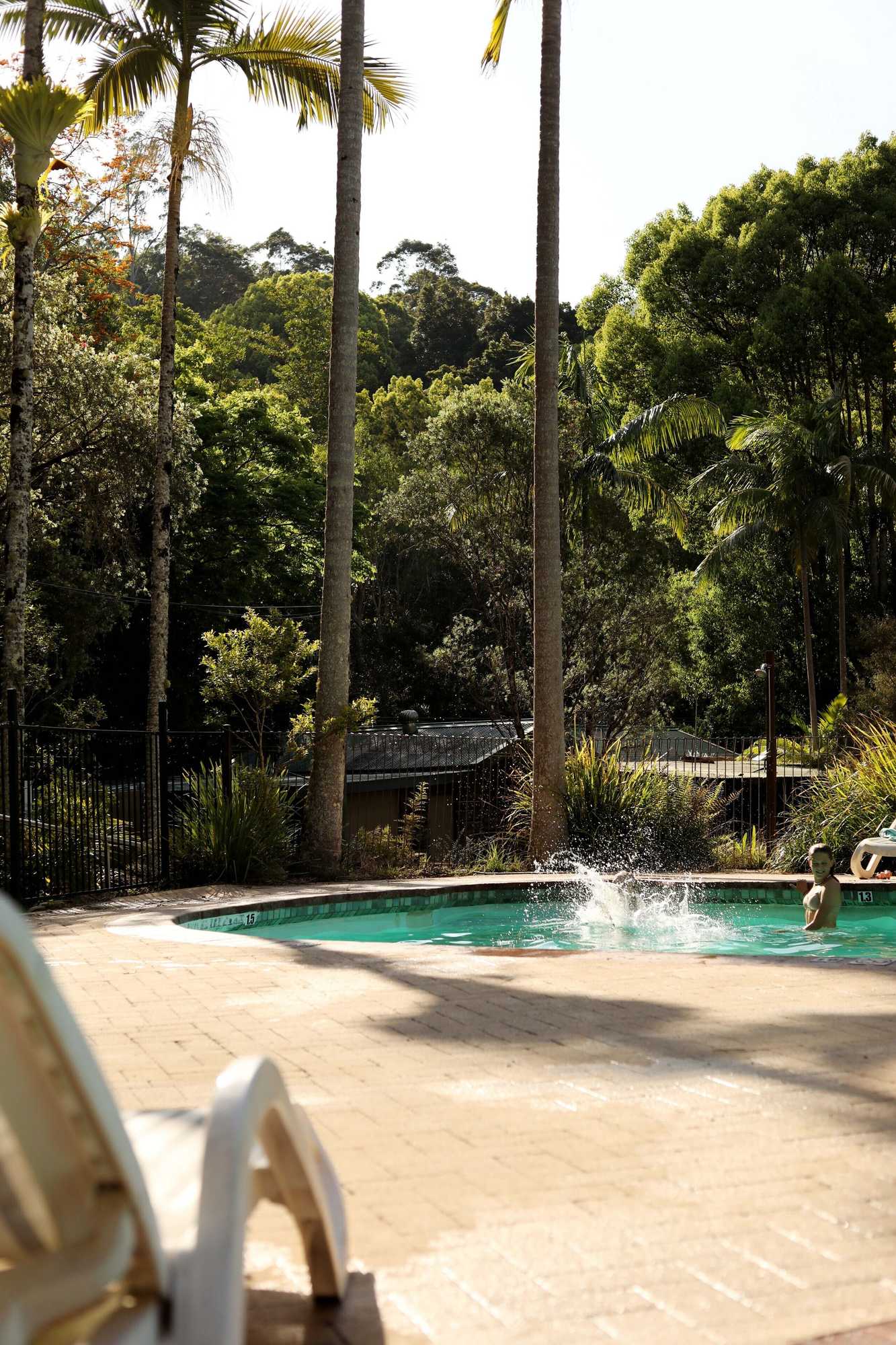 Gift card for Mt Warning Rainforest Park Gift card for Mt Warning Rainforest Park