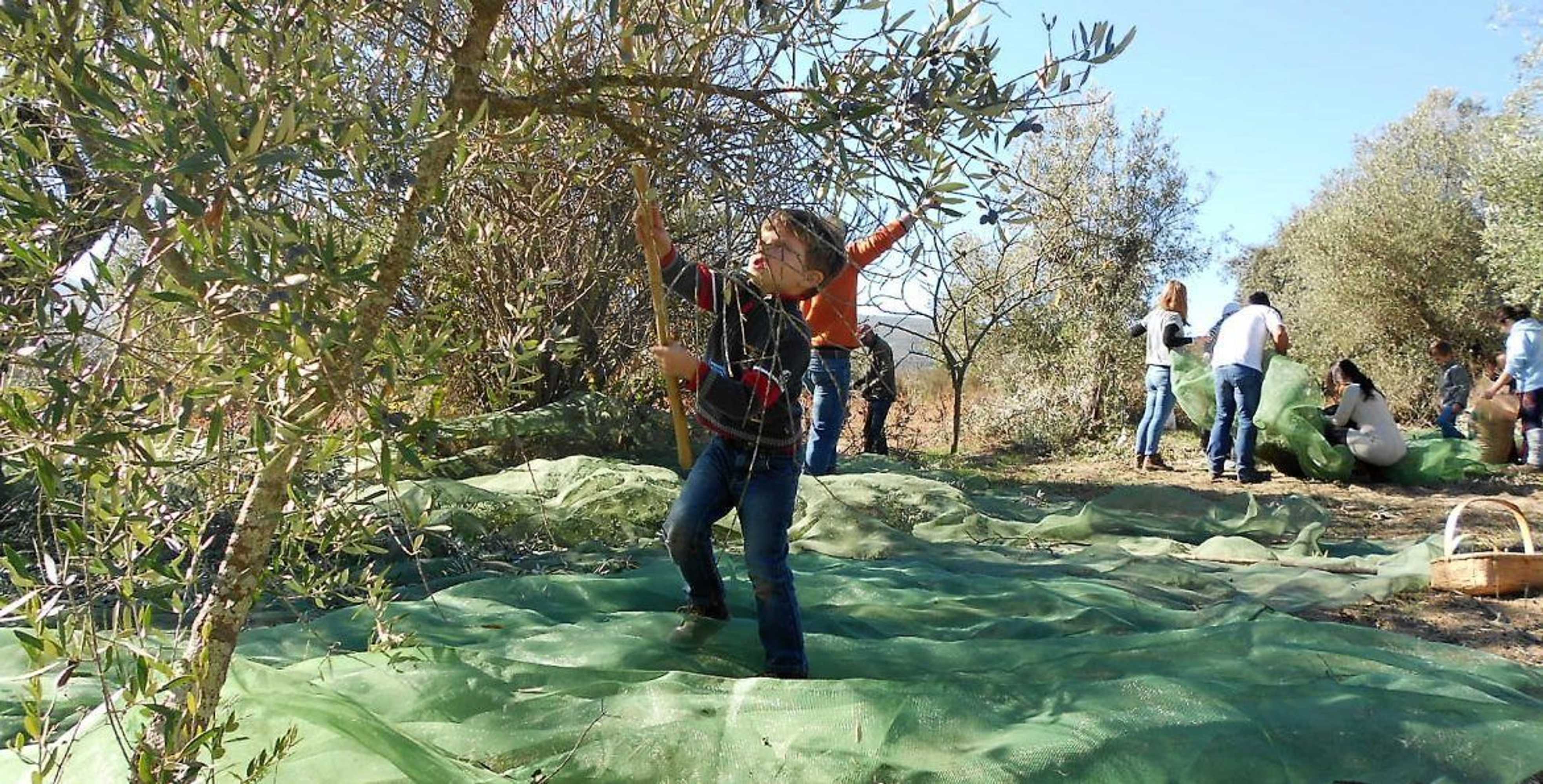 Gift card for Casas do Durão