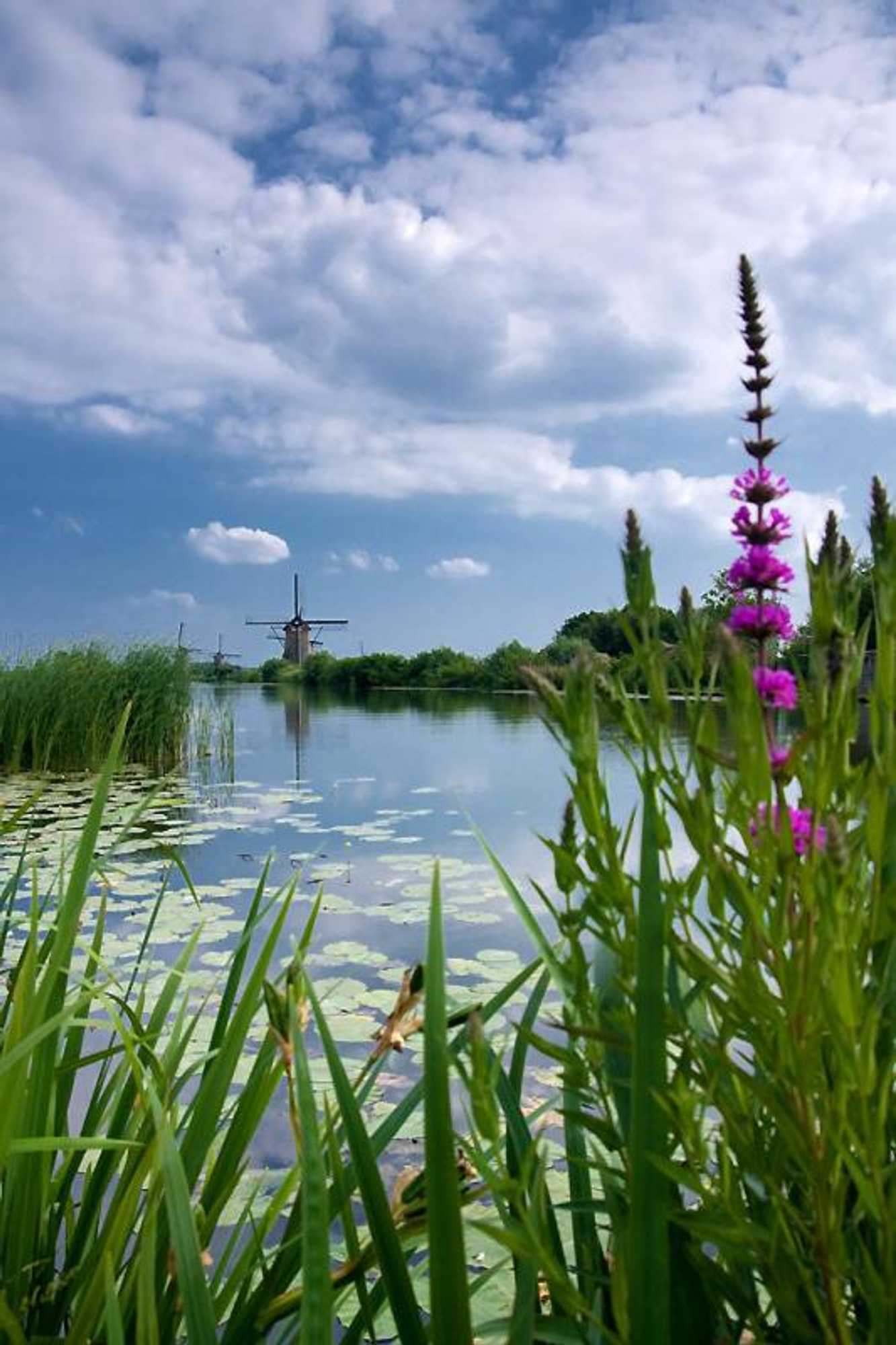 Gift card for Zonnig Zuid