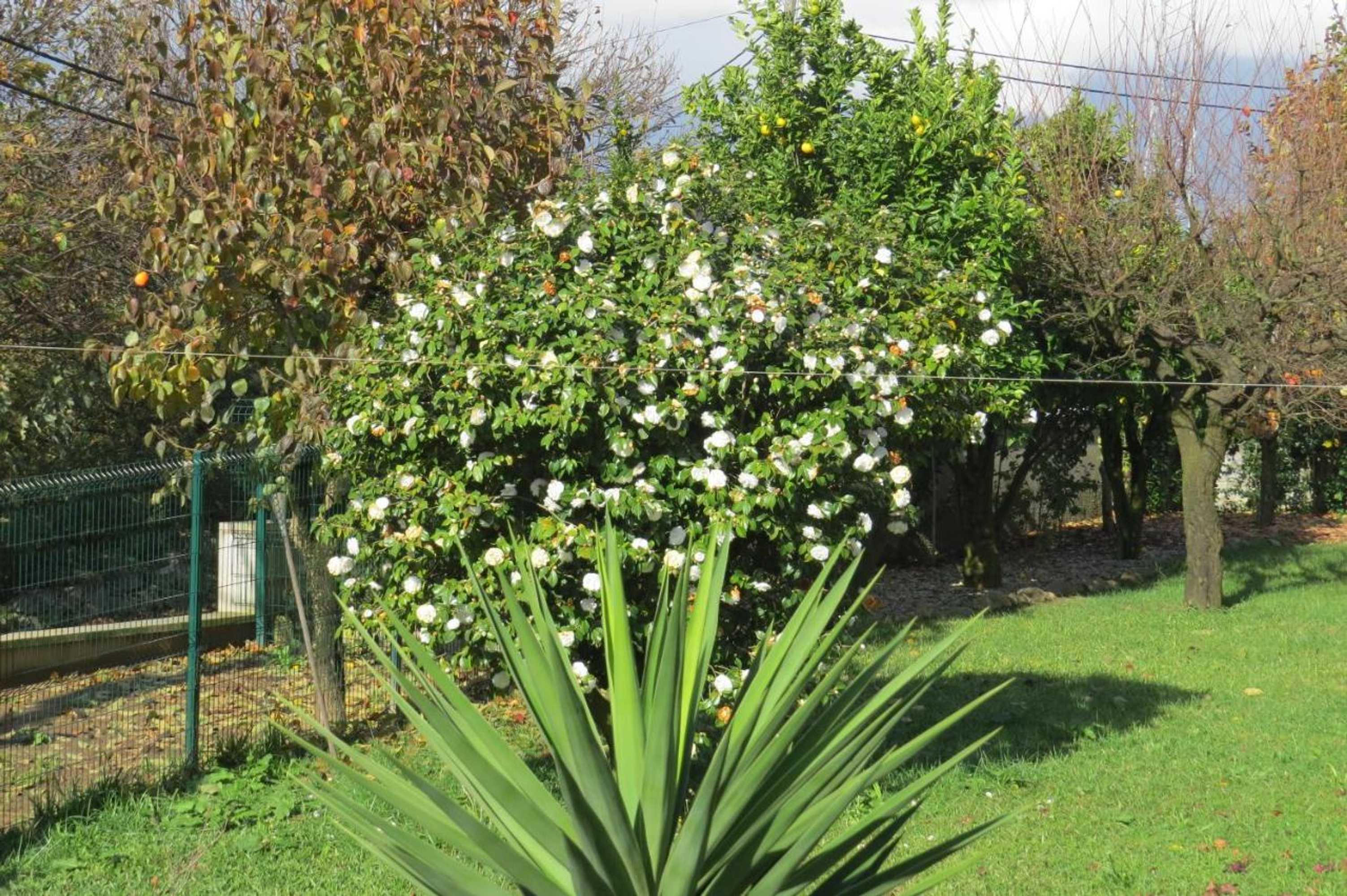 Gift card for Sweet Home Braga Hostel & Guest House