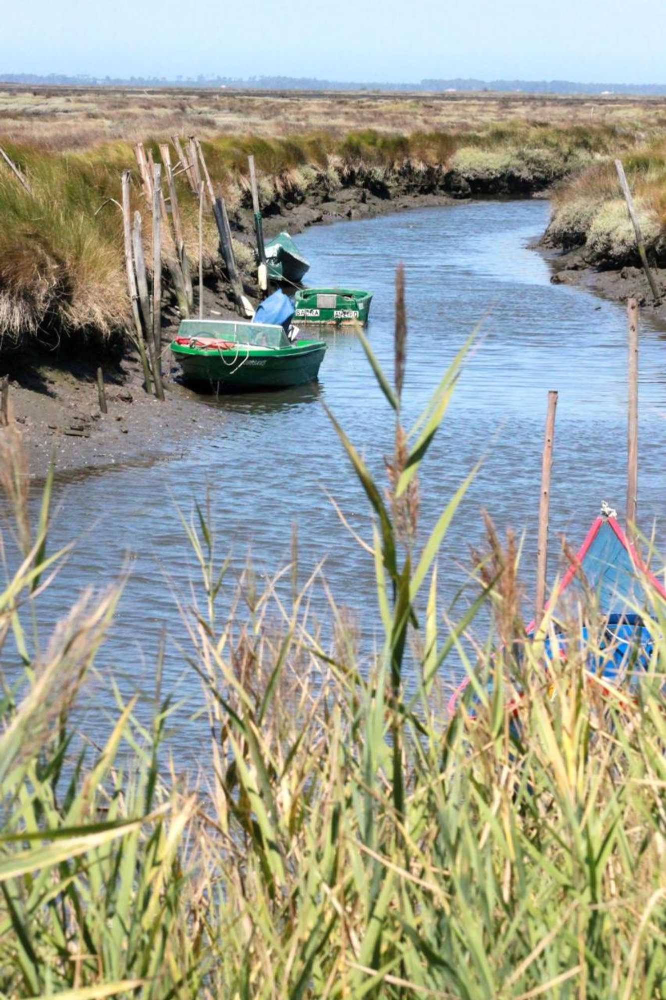 Gift card for Casa Das Três Aguias