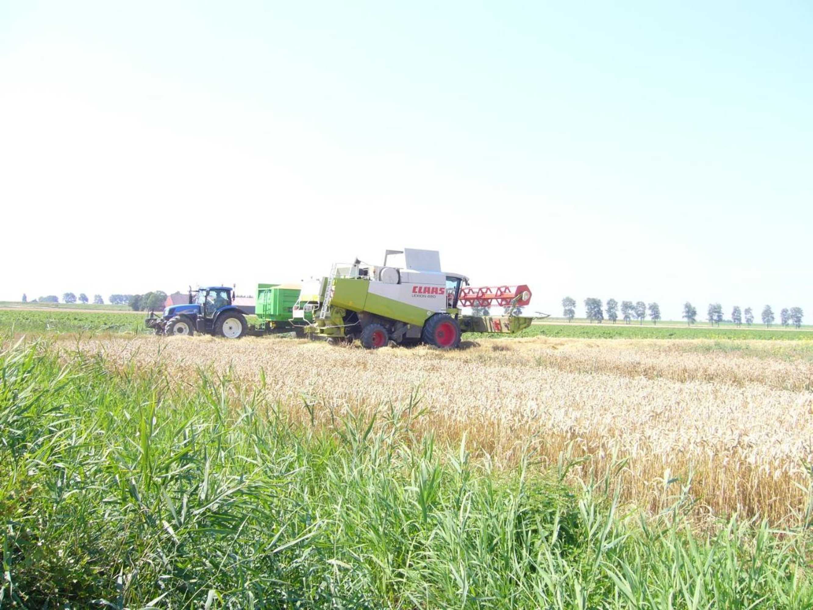 Gift card for Korendijk Bed & Breakfast