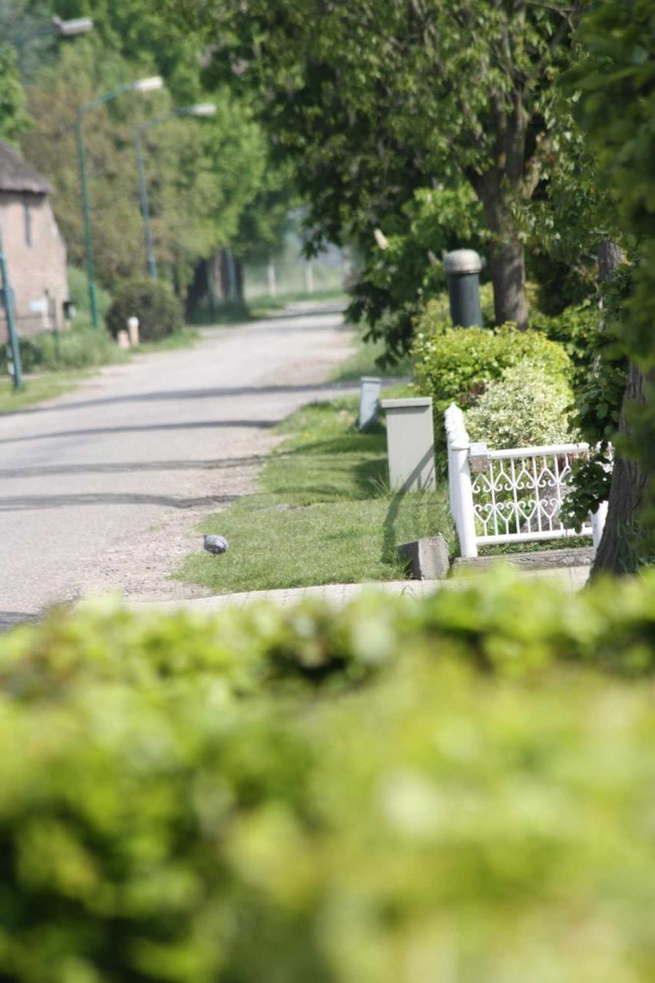 Gift card for Logerenbijonsz