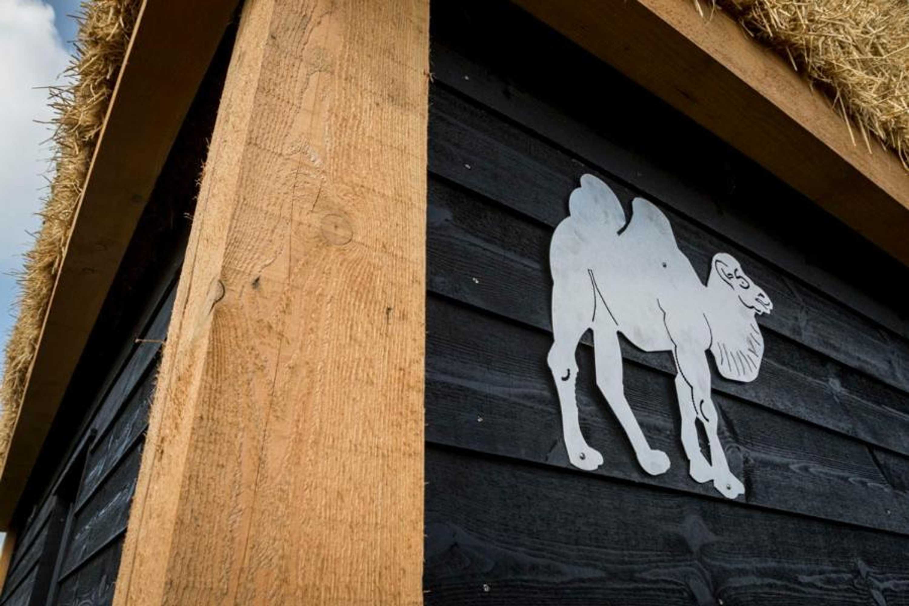 Gift card for Camping Nieuw Romalo